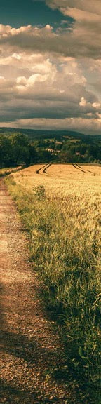 Duschrückwand - Wanderpfad