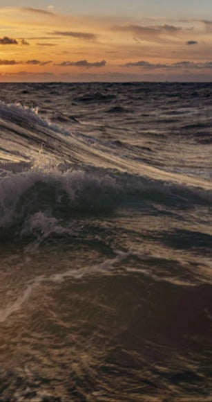 Duschrückwand - Kleine Windwelle bei Sonnenuntergang