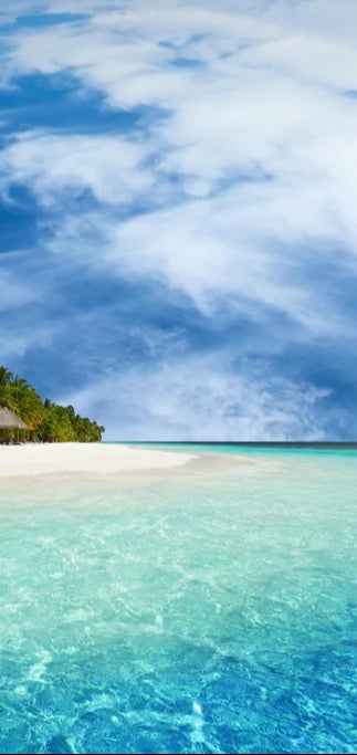 Duschrückwand - Tropische Insel mit Kokospalmen