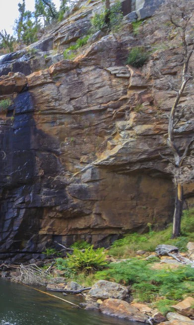 Duschrückwand - Idyllischer Wasserfall in New South Wales Australien