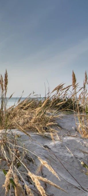 Duschrückwand - Friedlicher Ausblick an der Ostseeküste