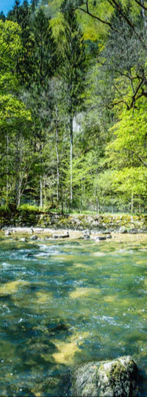 Duschrückwand - Sonnige Flusslandschaft in der Schweiz