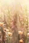 4-51949614104843-44325476761867.png