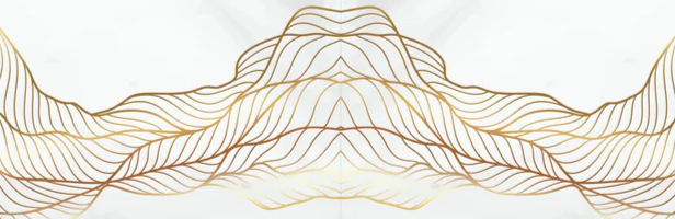 4-52735578571019-55189367718155.png