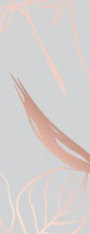 4-52794979909899-46234673185035.png