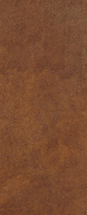 5-51315502973195-46235244265739.png