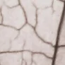 5-52855398662411-45938873008395.png