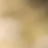 5-52869565645067-44327785791755.png