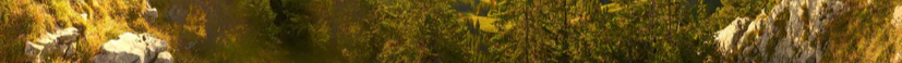 5-52897701953803-44326160793867.png
