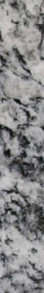 5-53136688152843-40428097208587.jpeg