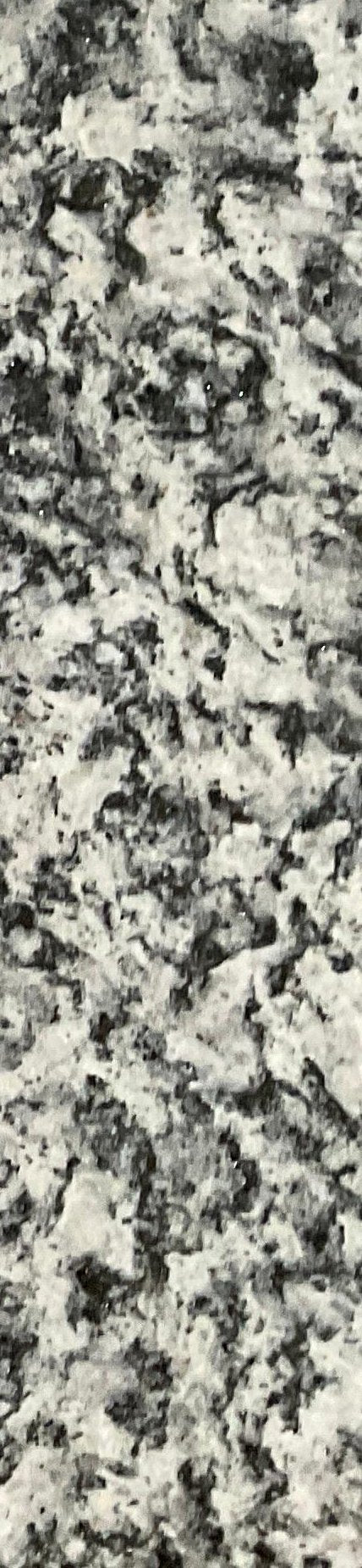 5-53141397471499-40428097208587.jpeg