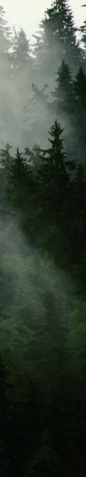 5-53402776928523-46343923335435.jpeg