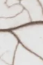 6-52855269556491-45938873008395.png