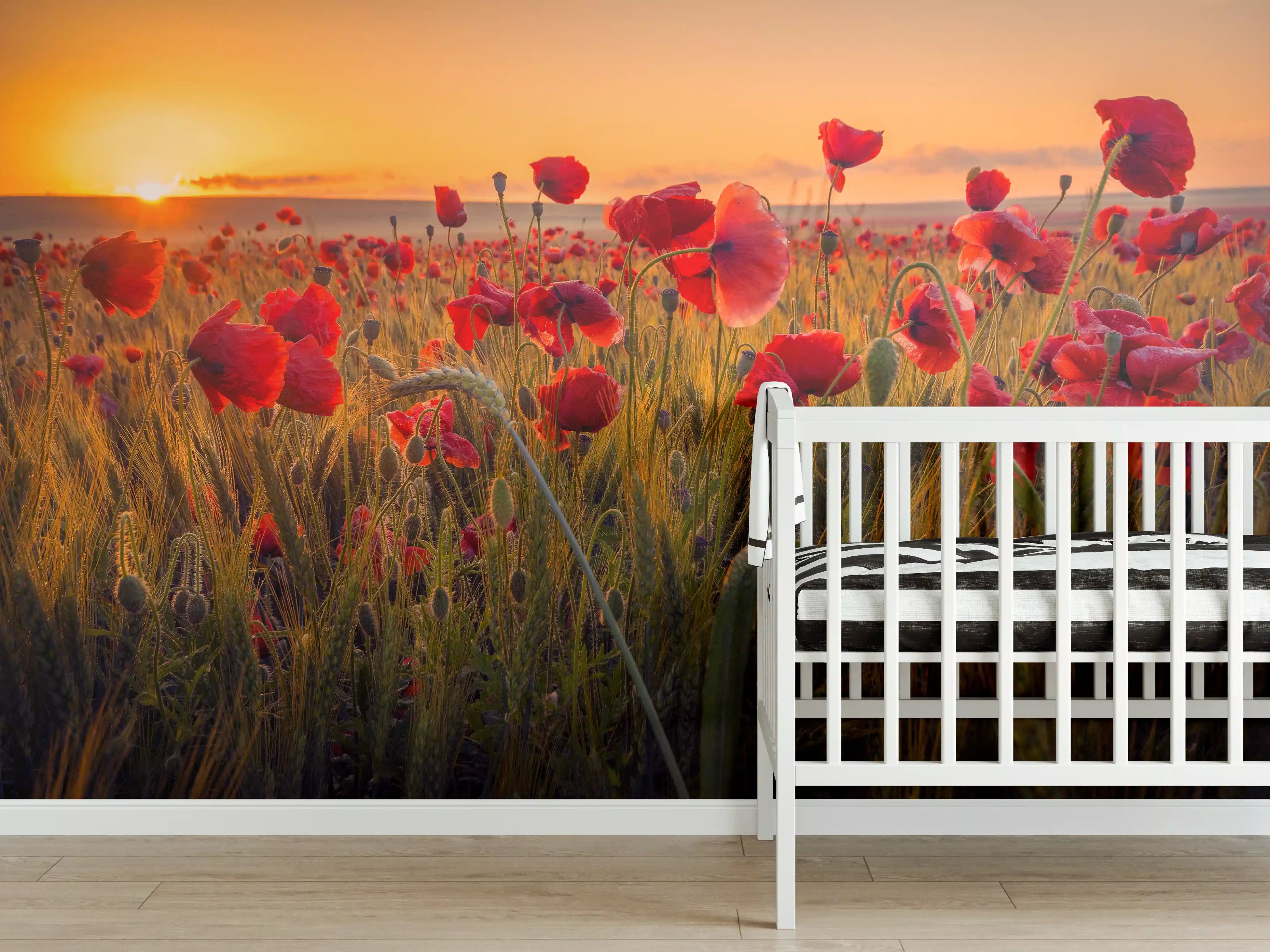 Babyzimmer Wandgestaltung - Abendlicht über Mohnblumenwiese