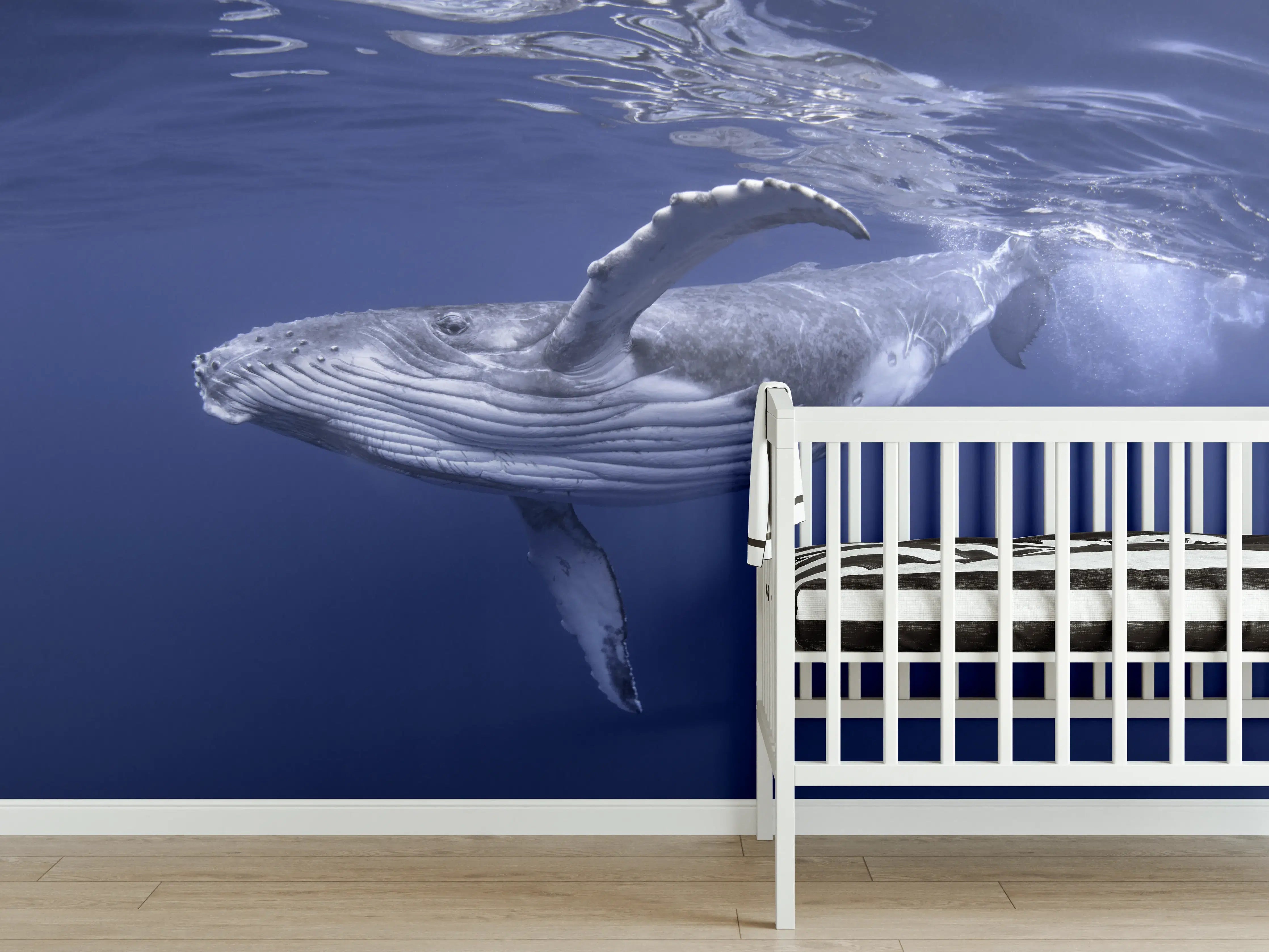 Babyzimmer Wandgestaltung - Baby-Buckelwal-Kalb im blauen Wasser