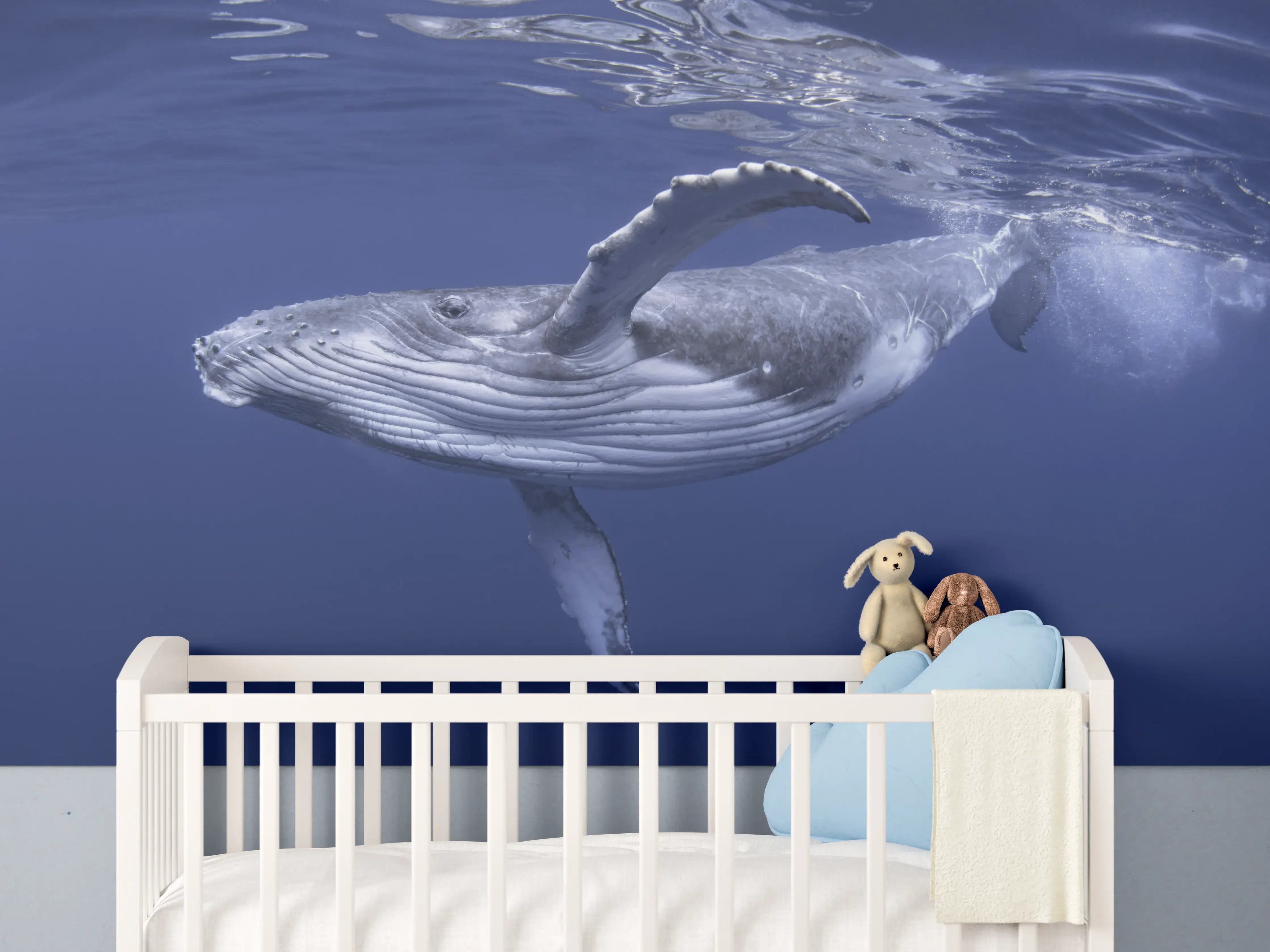 Babyzimmer Wandgestaltung - Baby-Buckelwal-Kalb im blauen Wasser