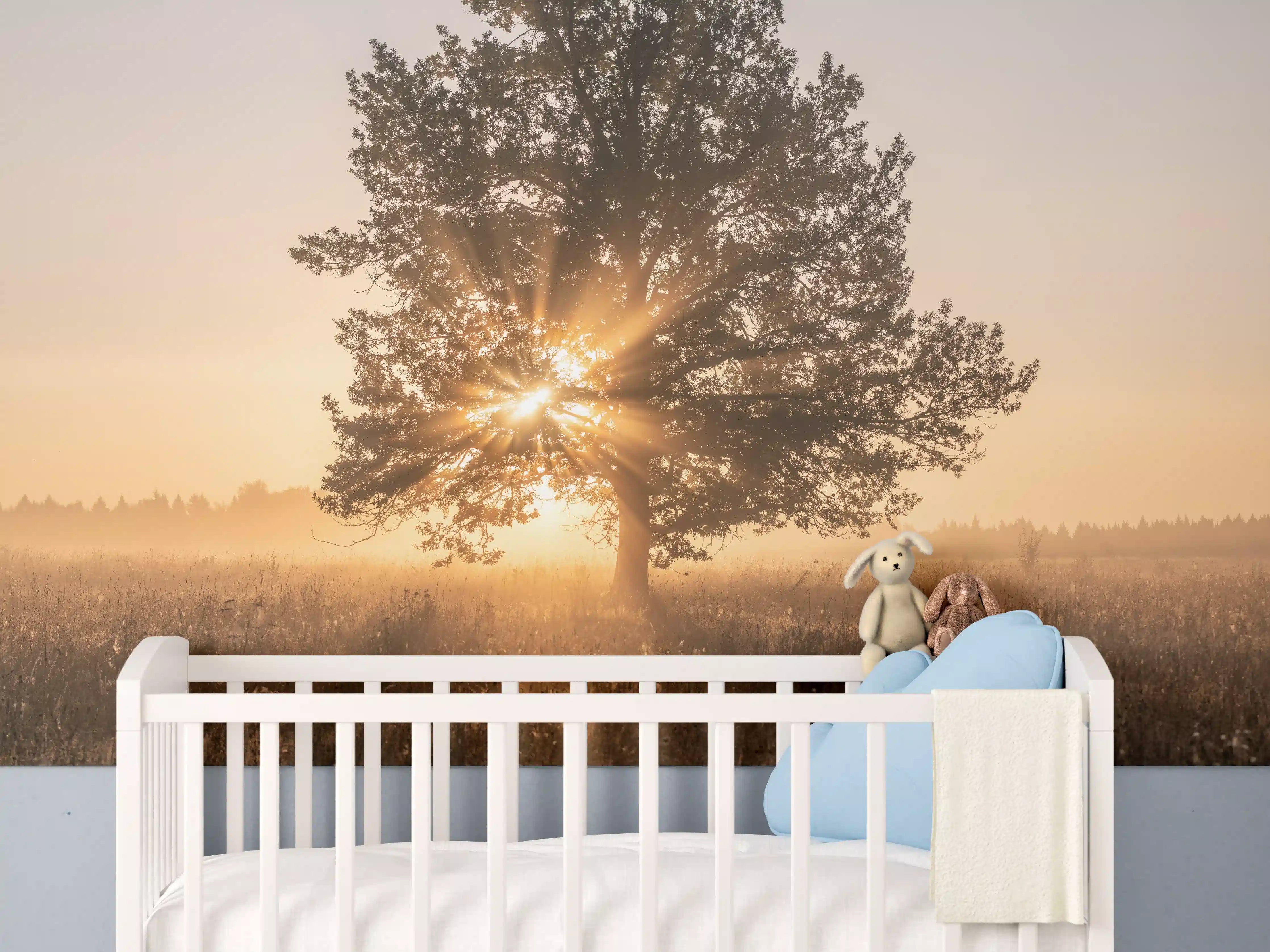 Babyzimmer Wandgestaltung - Baum an einem frühen Herbstmorgen in Russland