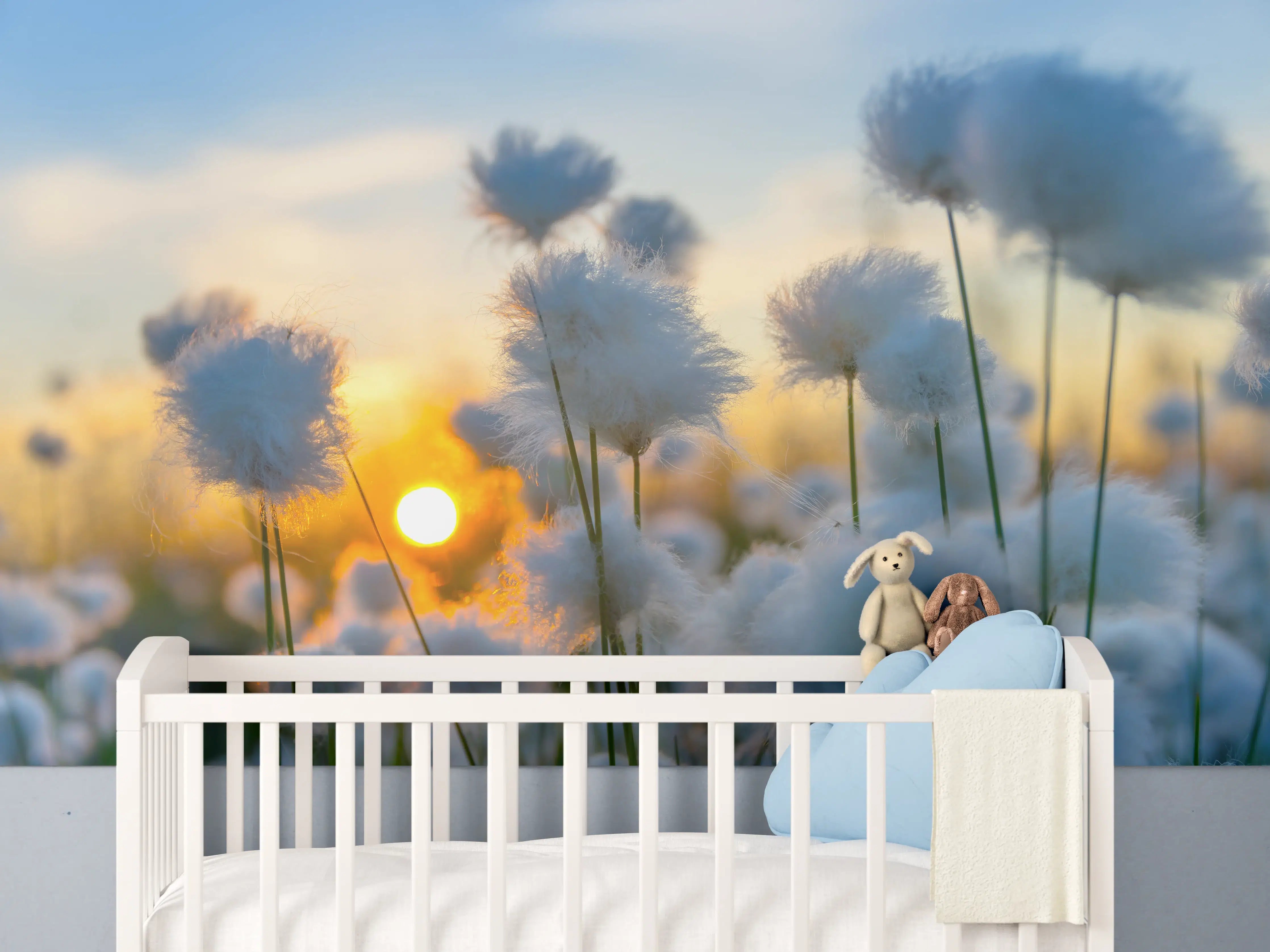 Babyzimmer Wandgestaltung - Baumwollgras bei Sonnenuntergang