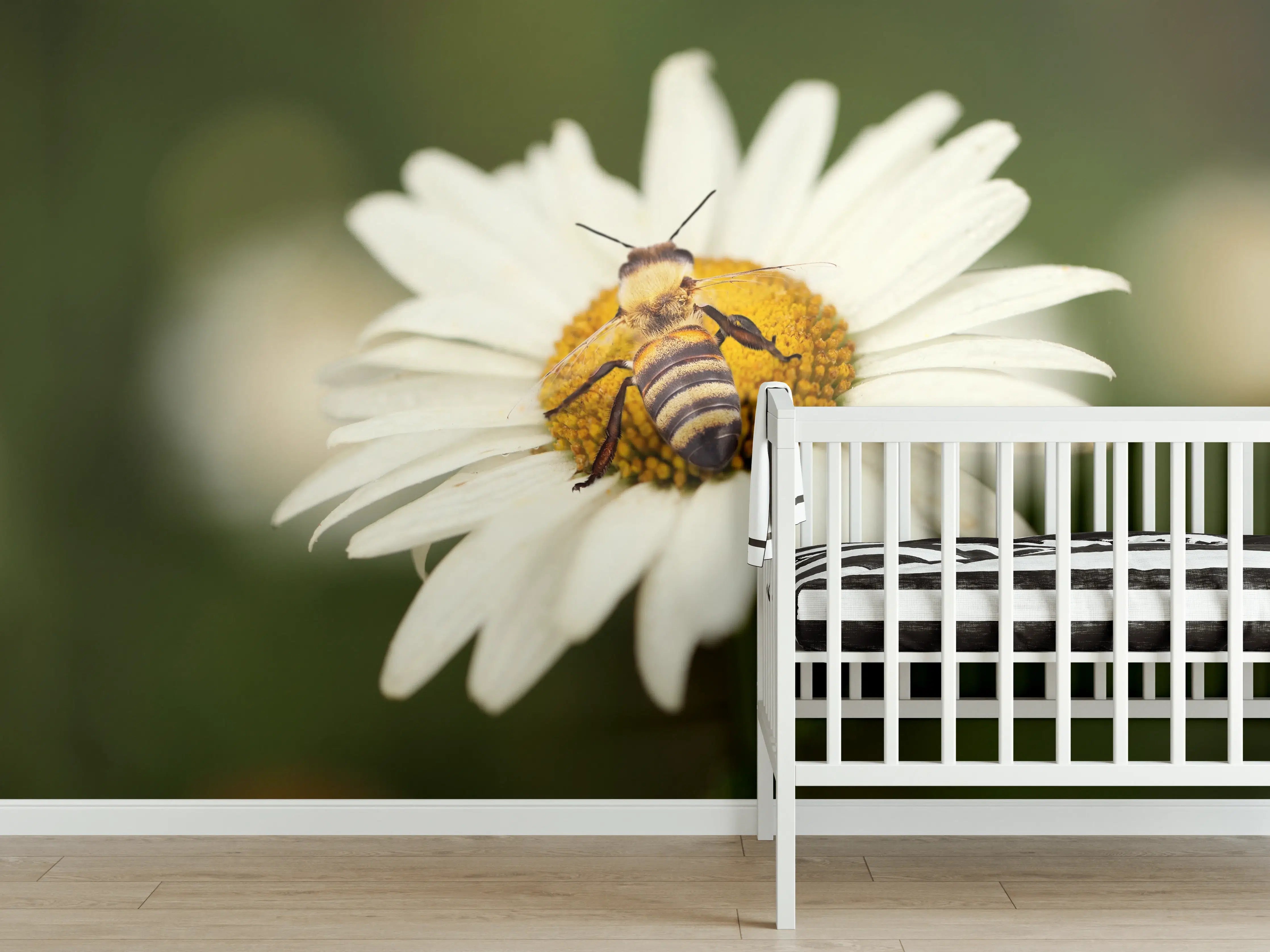 Babyzimmer Wandgestaltung - Biene auf einem Gänseblümchen