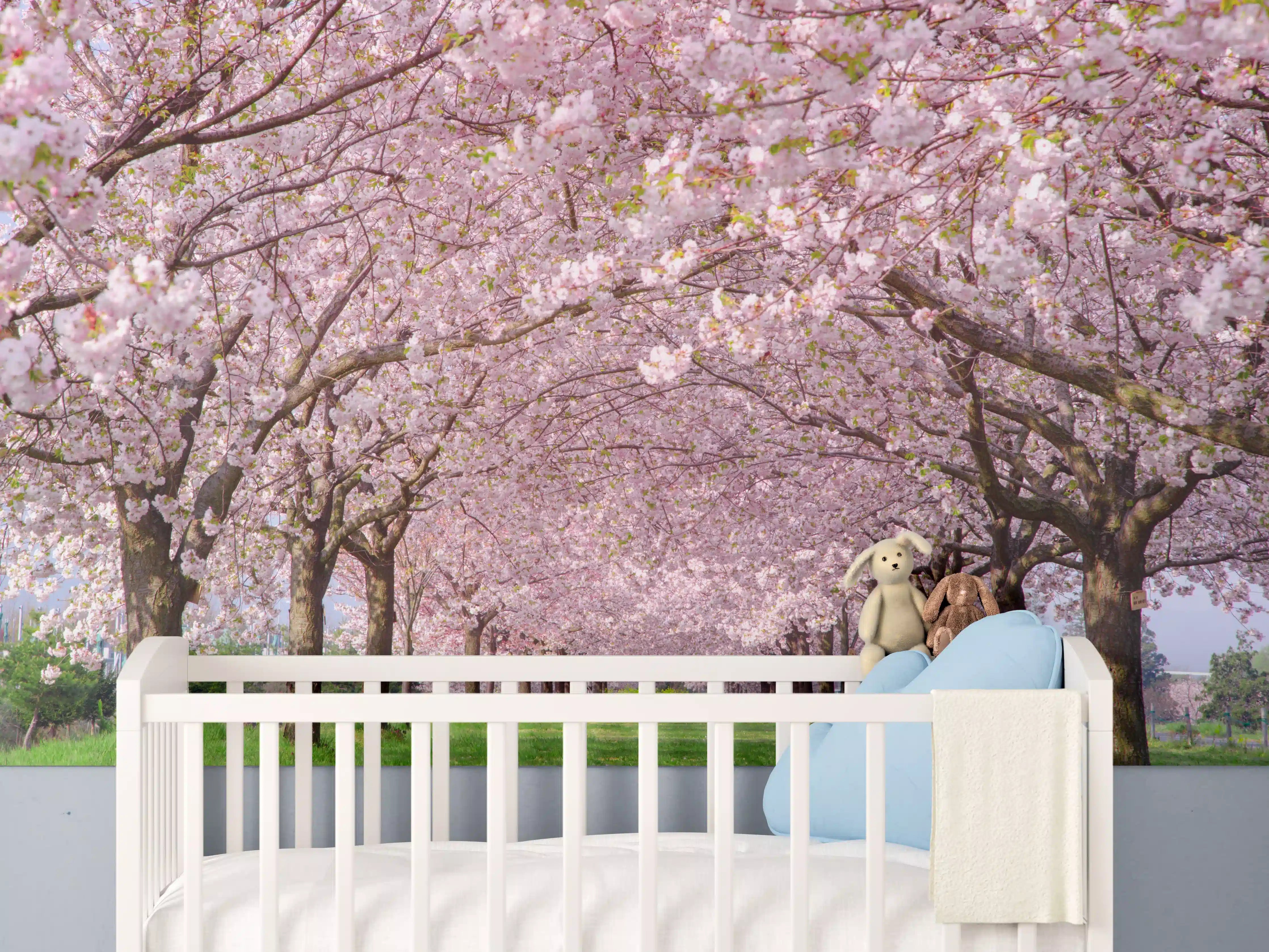 Babyzimmer Wandgestaltung - Birchblüten im Frühlingslicht