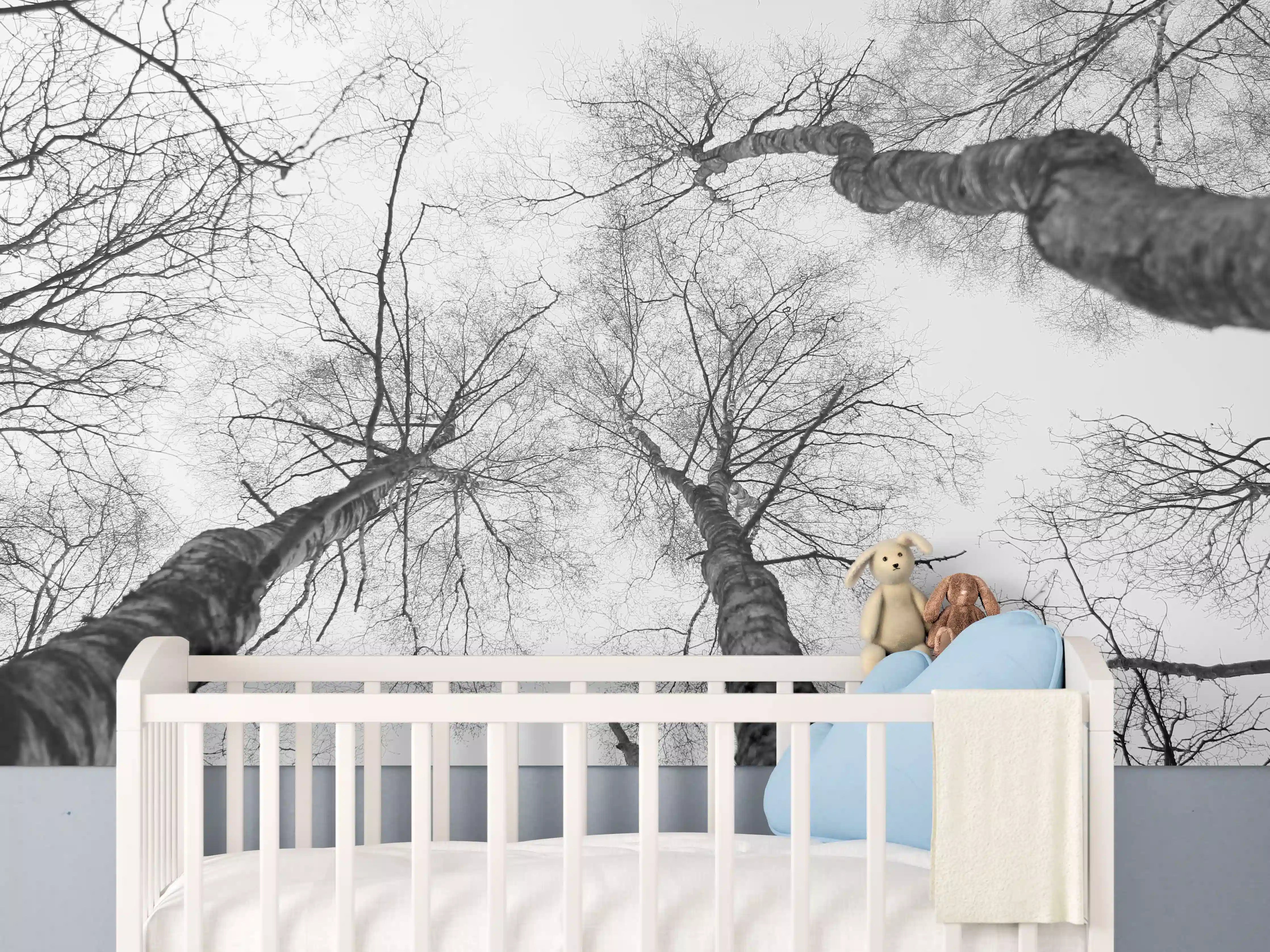 Babyzimmer Wandgestaltung - Birken im Winter von unten