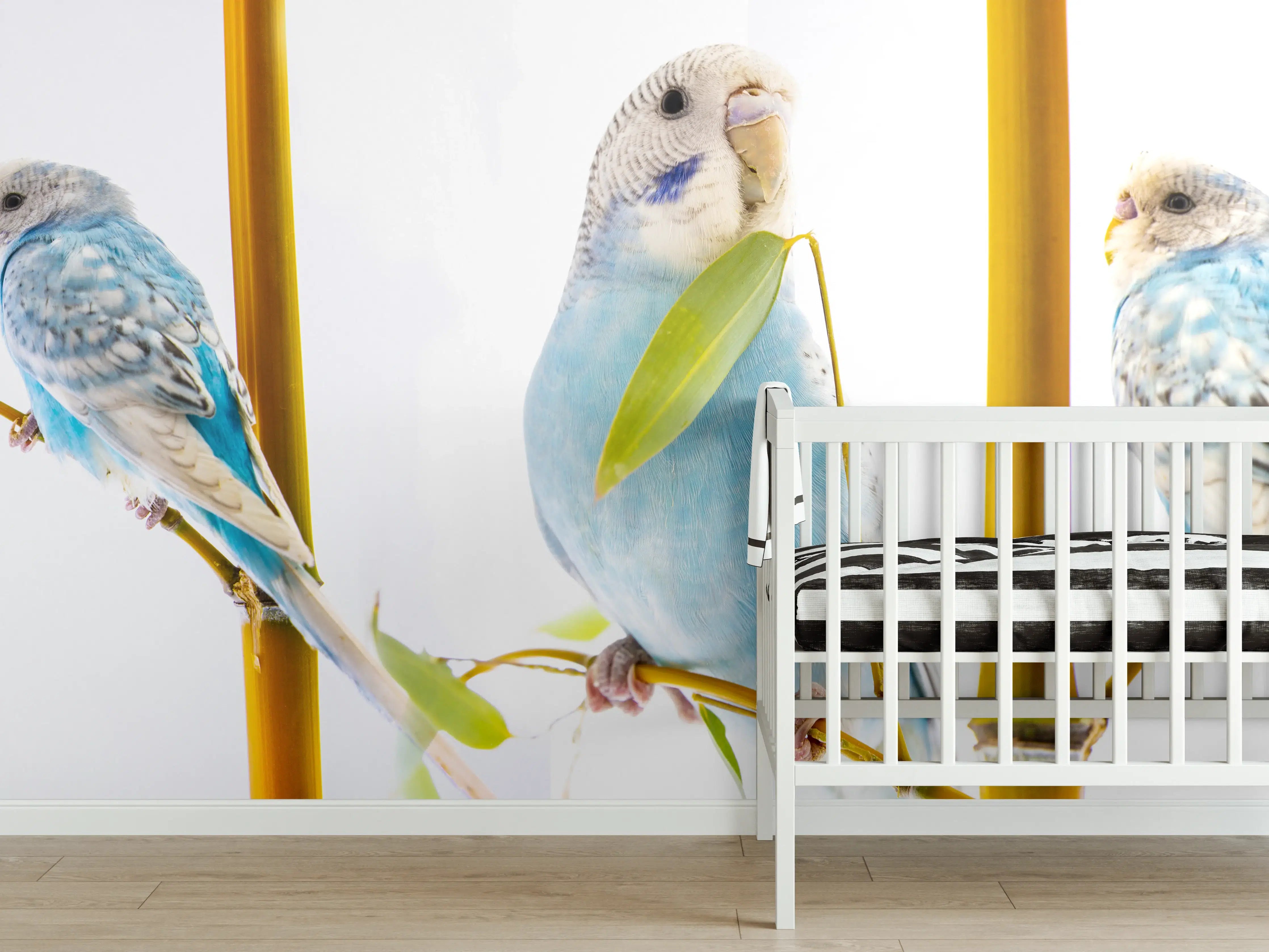 Babyzimmer Wandgestaltung - Blaue gewellte Papageien auf weißem Hintergrund