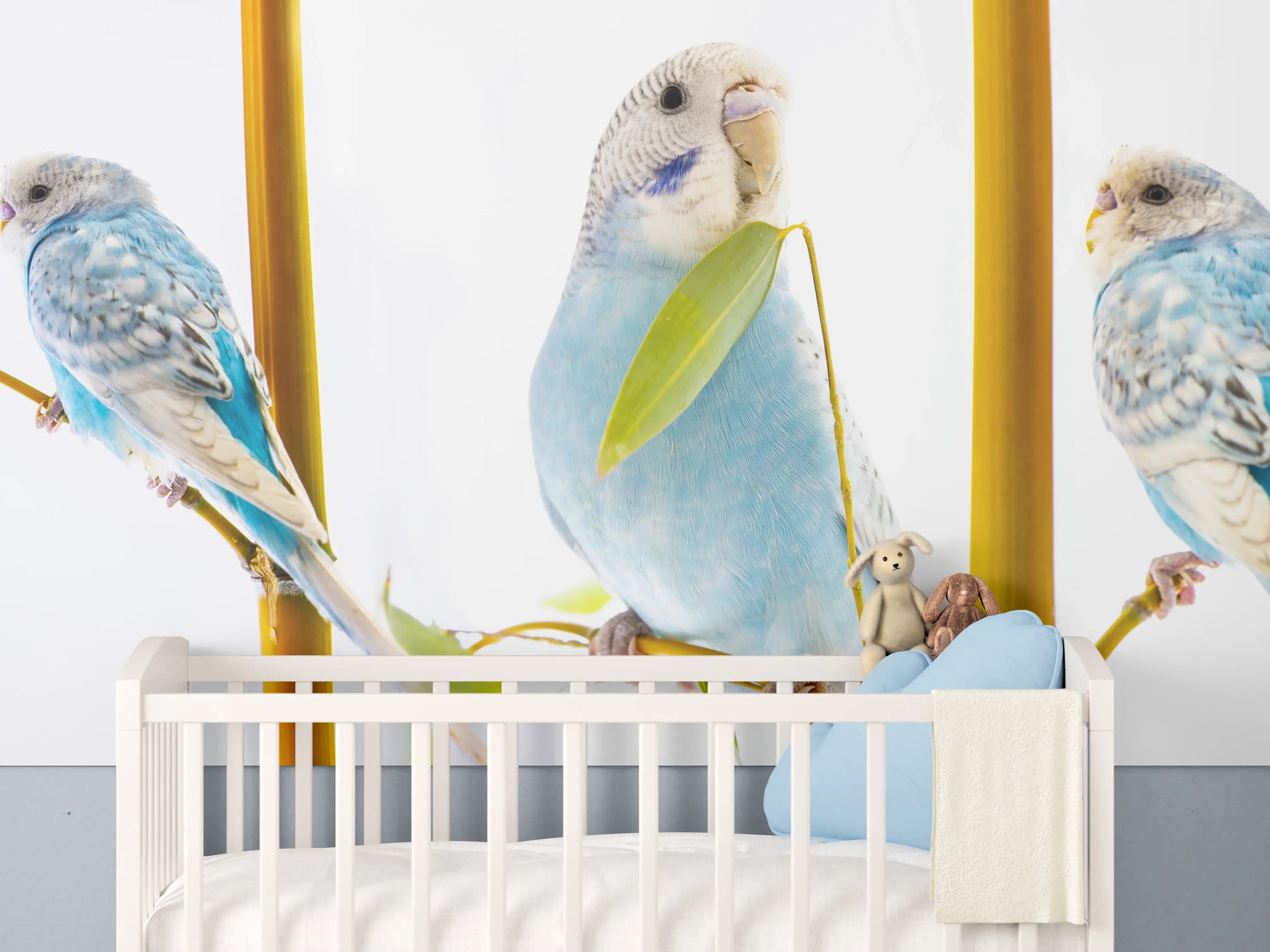 Babyzimmer Wandgestaltung - Blaue gewellte Papageien auf weißem Hintergrund