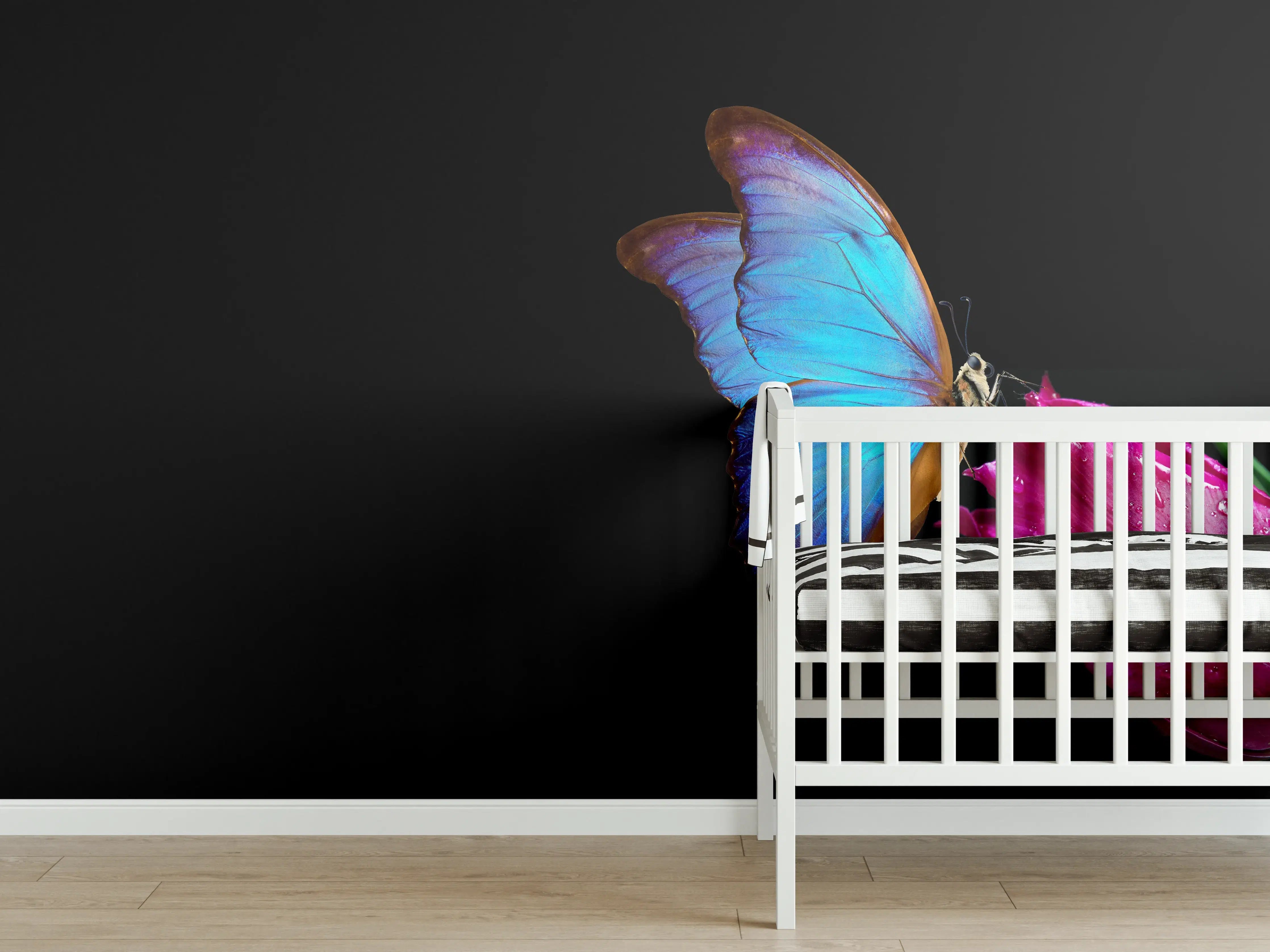 Babyzimmer Wandgestaltung - Blauer Morphofalter - schwarzer Hintergrund