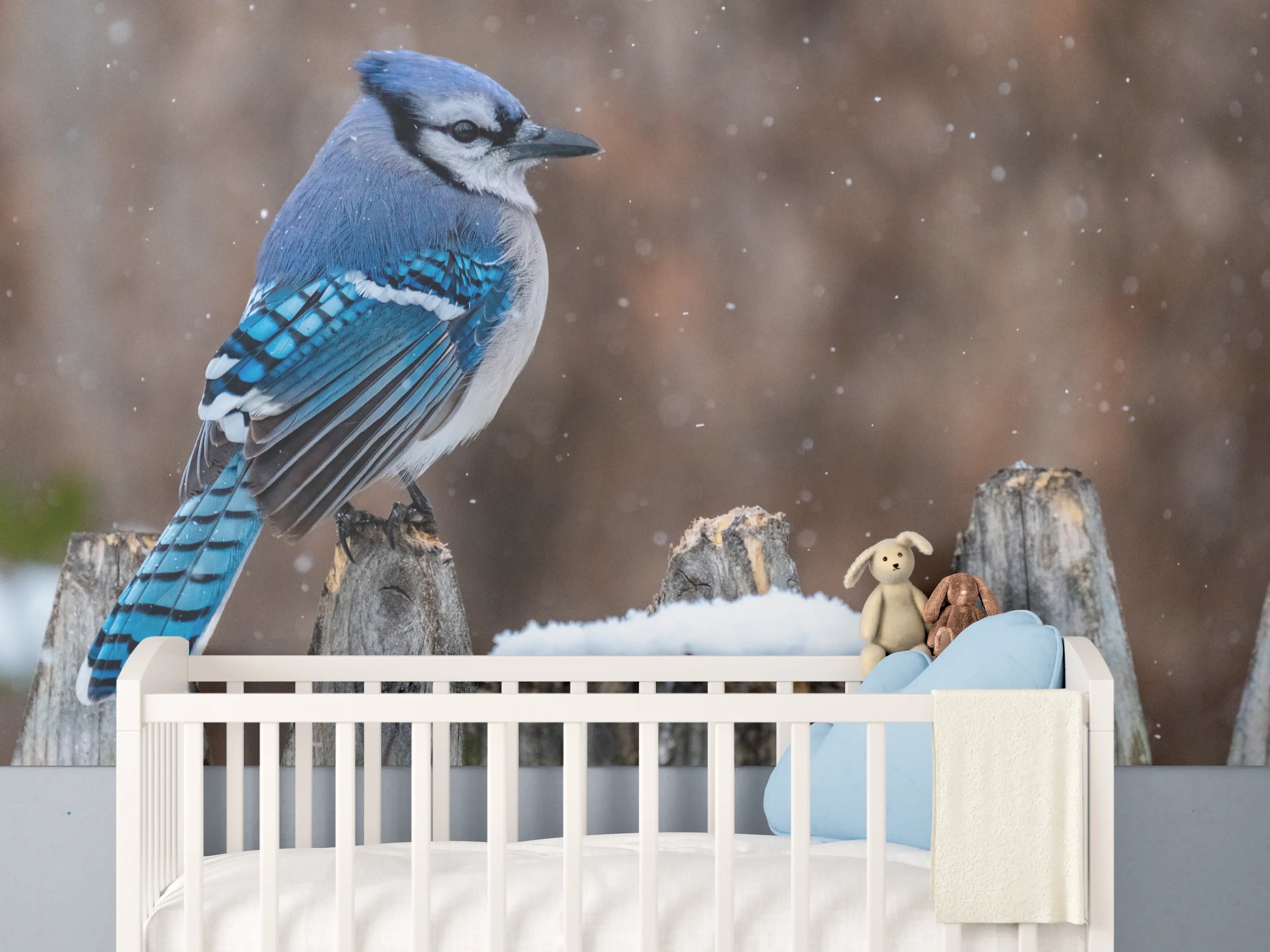 Babyzimmer Wandgestaltung - Blauhäher im Schnee