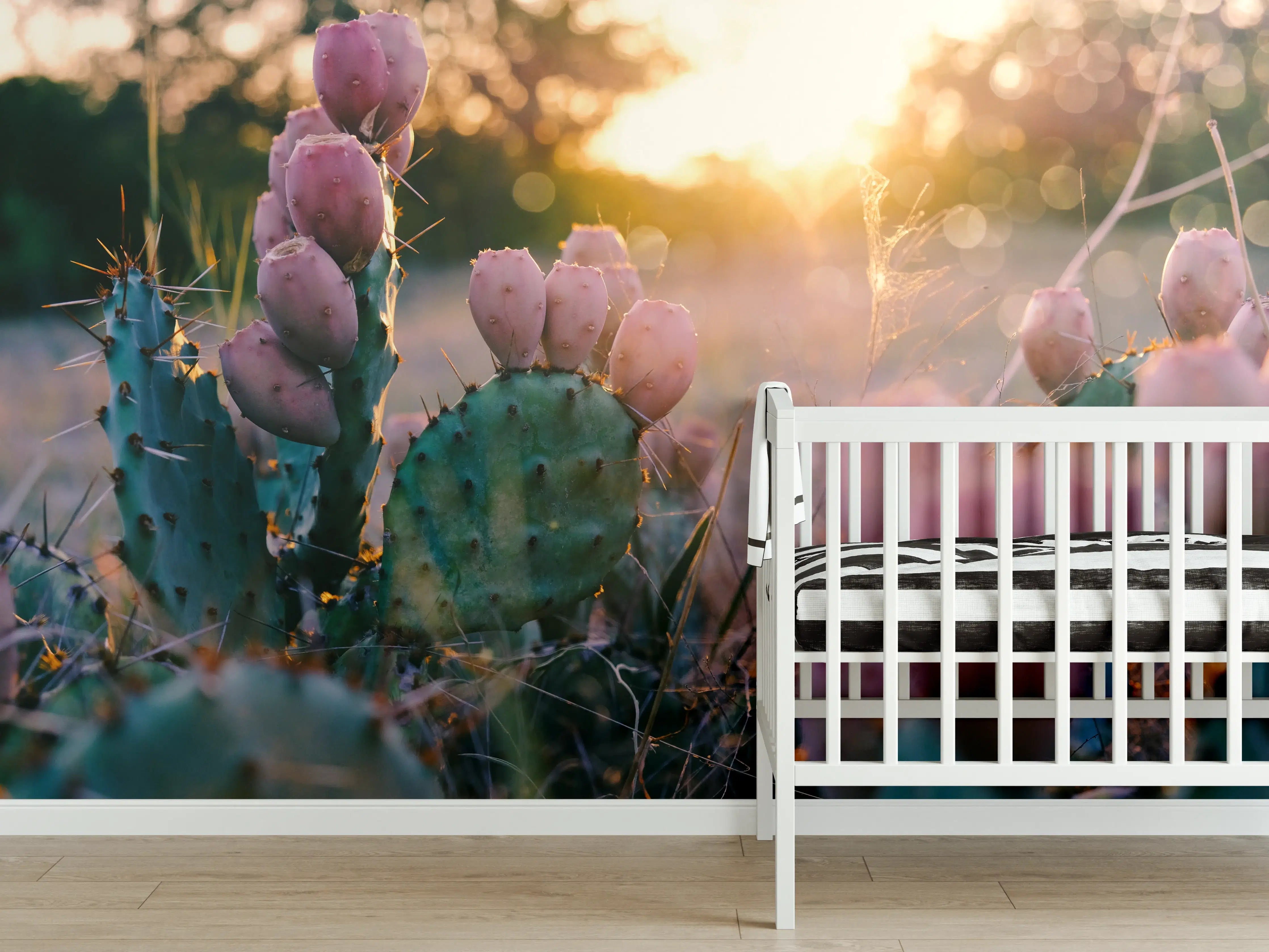 Babyzimmer Wandgestaltung - Blühender Kaktus bei Sonnenuntergang