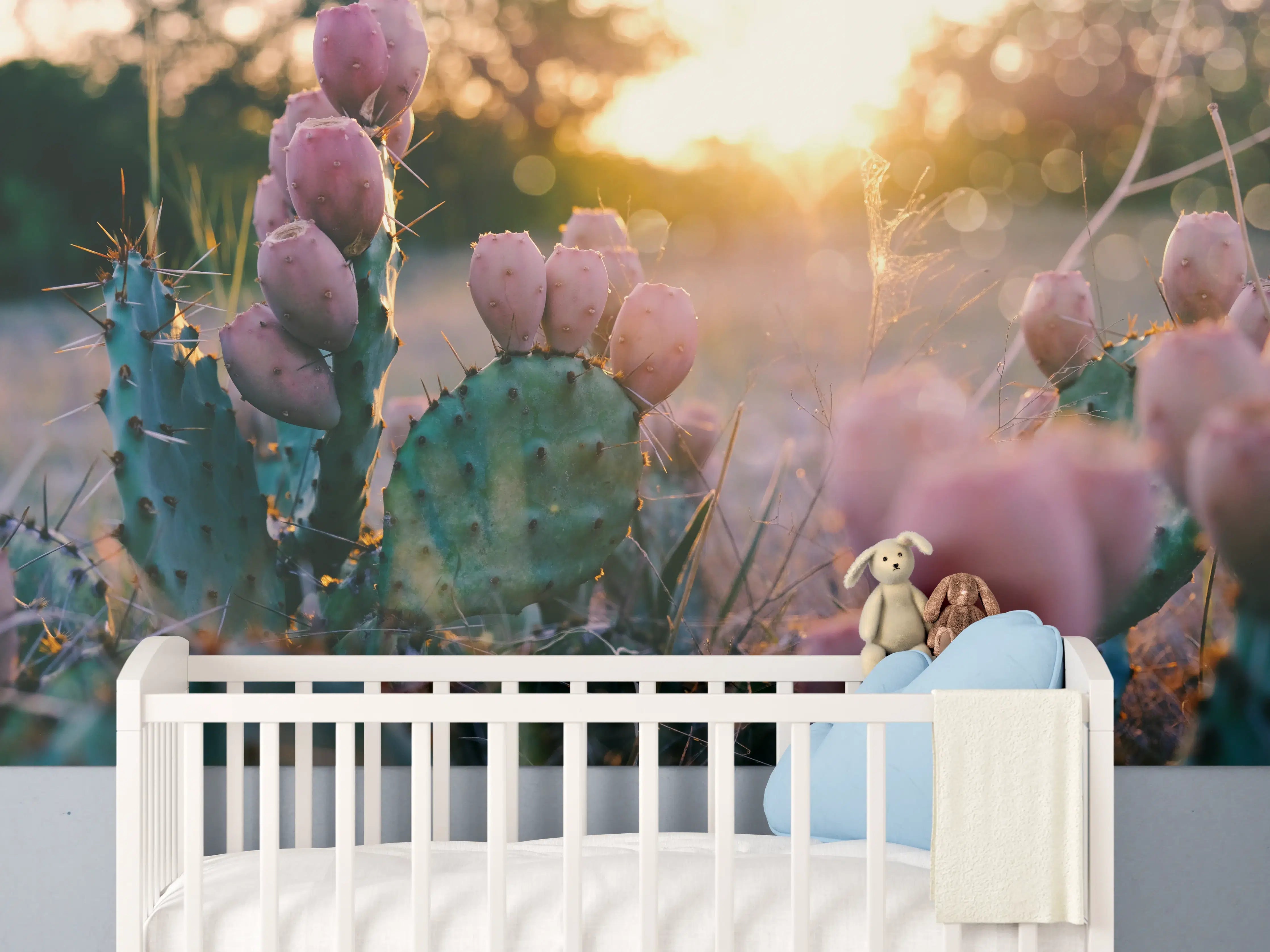 Babyzimmer Wandgestaltung - Blühender Kaktus bei Sonnenuntergang