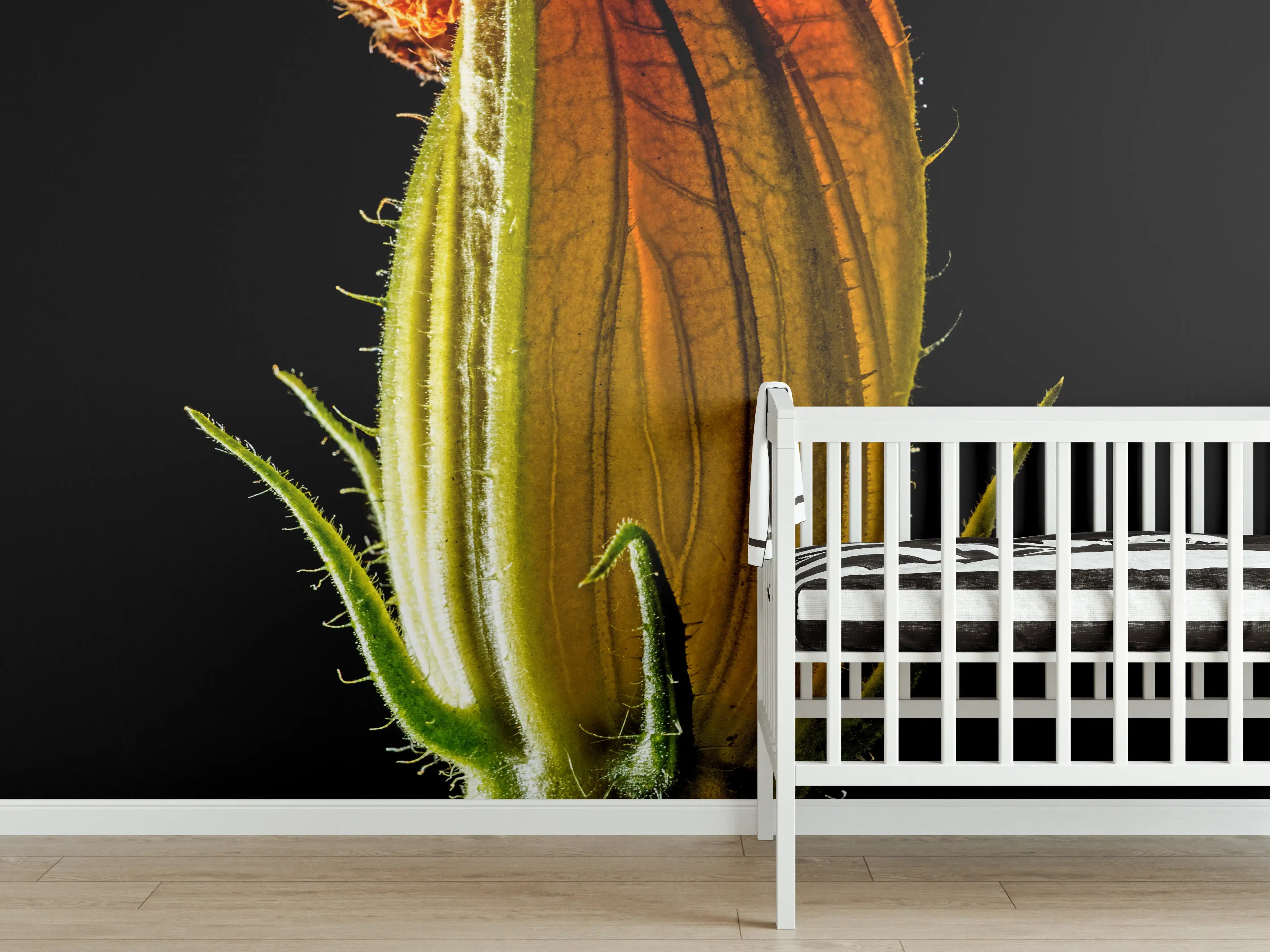 Babyzimmer Wandgestaltung - Blumenzwiebel in Nahaufnahme