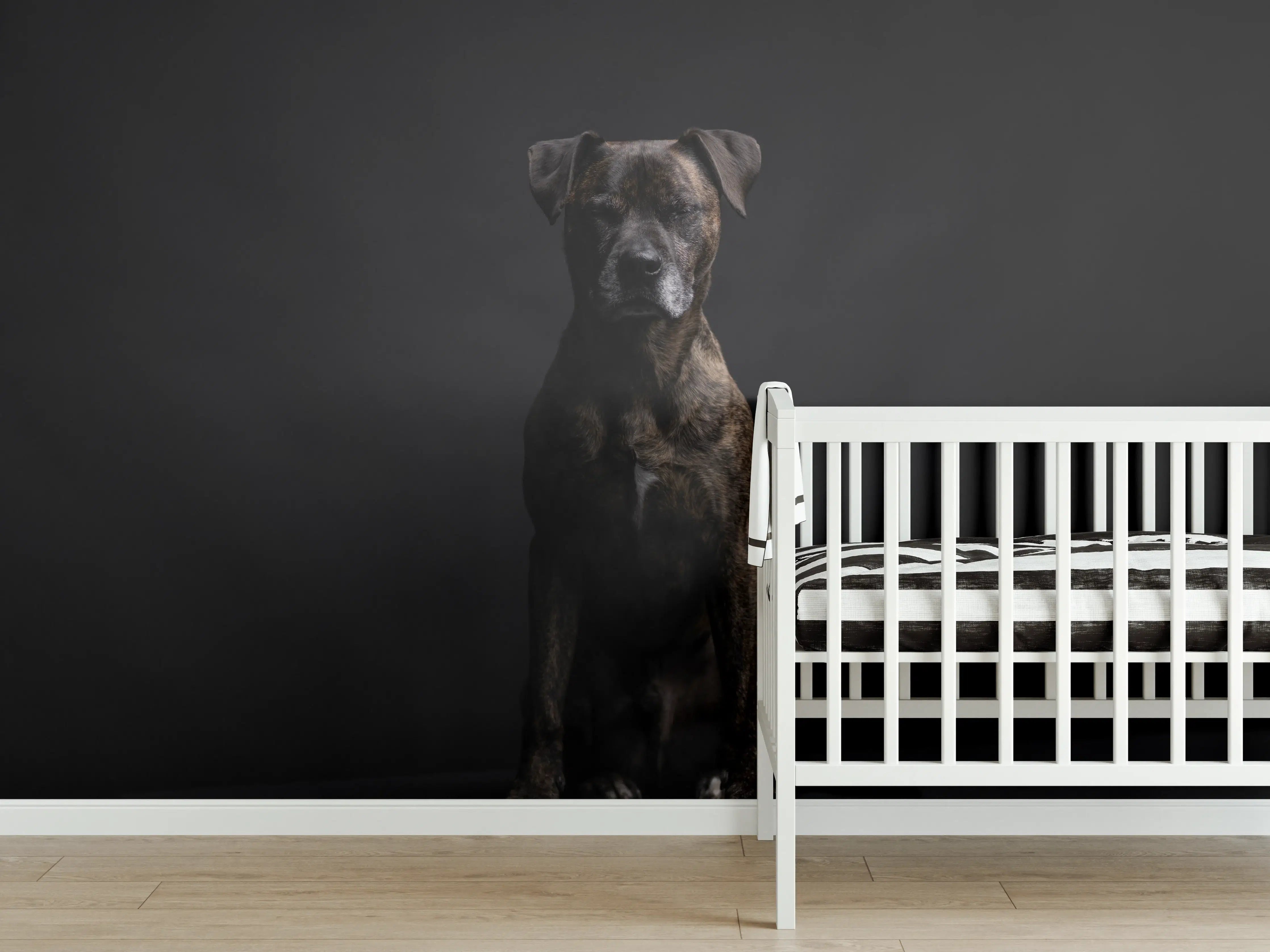 Babyzimmer Wandgestaltung - Boxer Staffordshire Hund