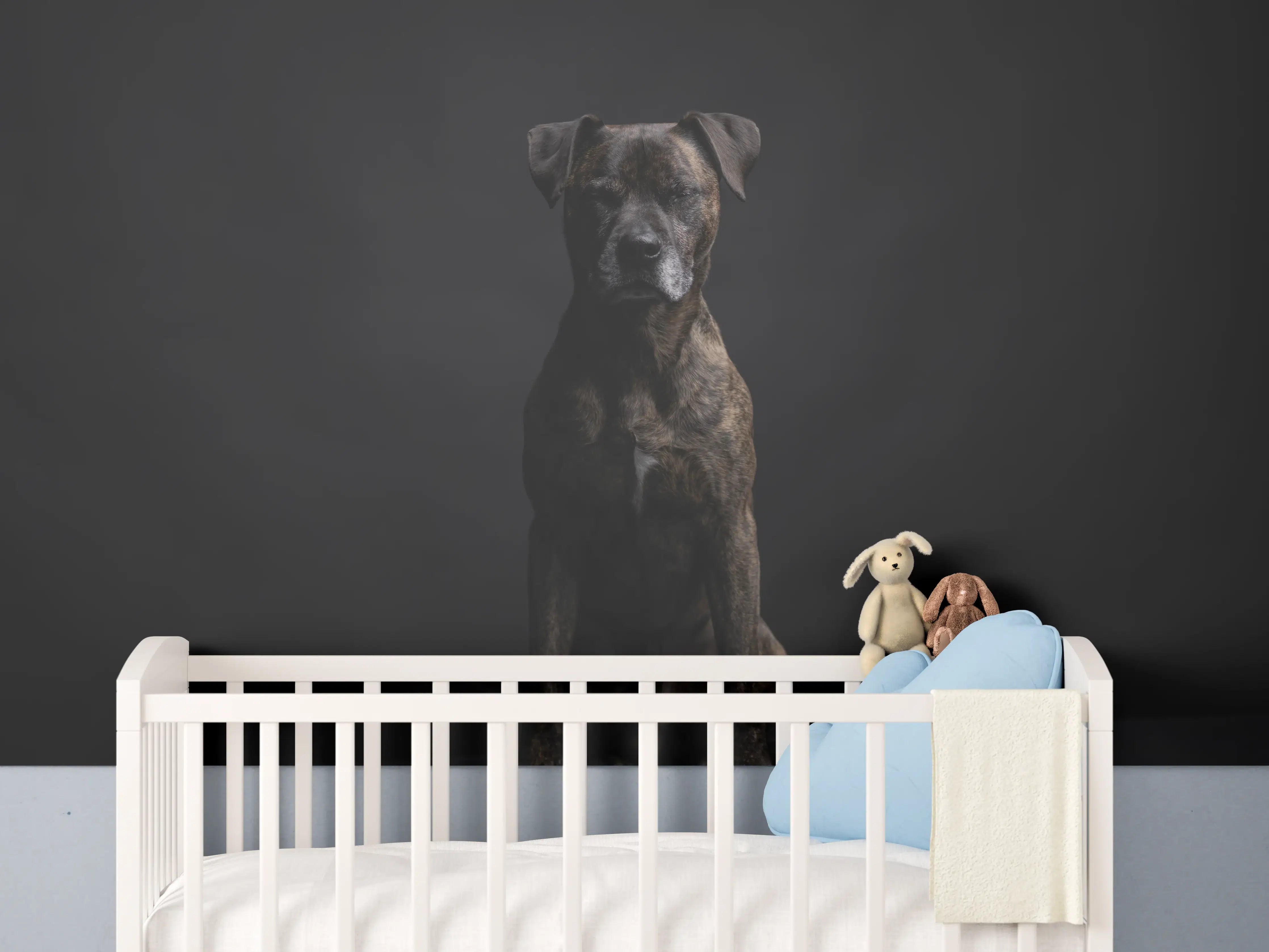 Babyzimmer Wandgestaltung - Boxer Staffordshire Hund