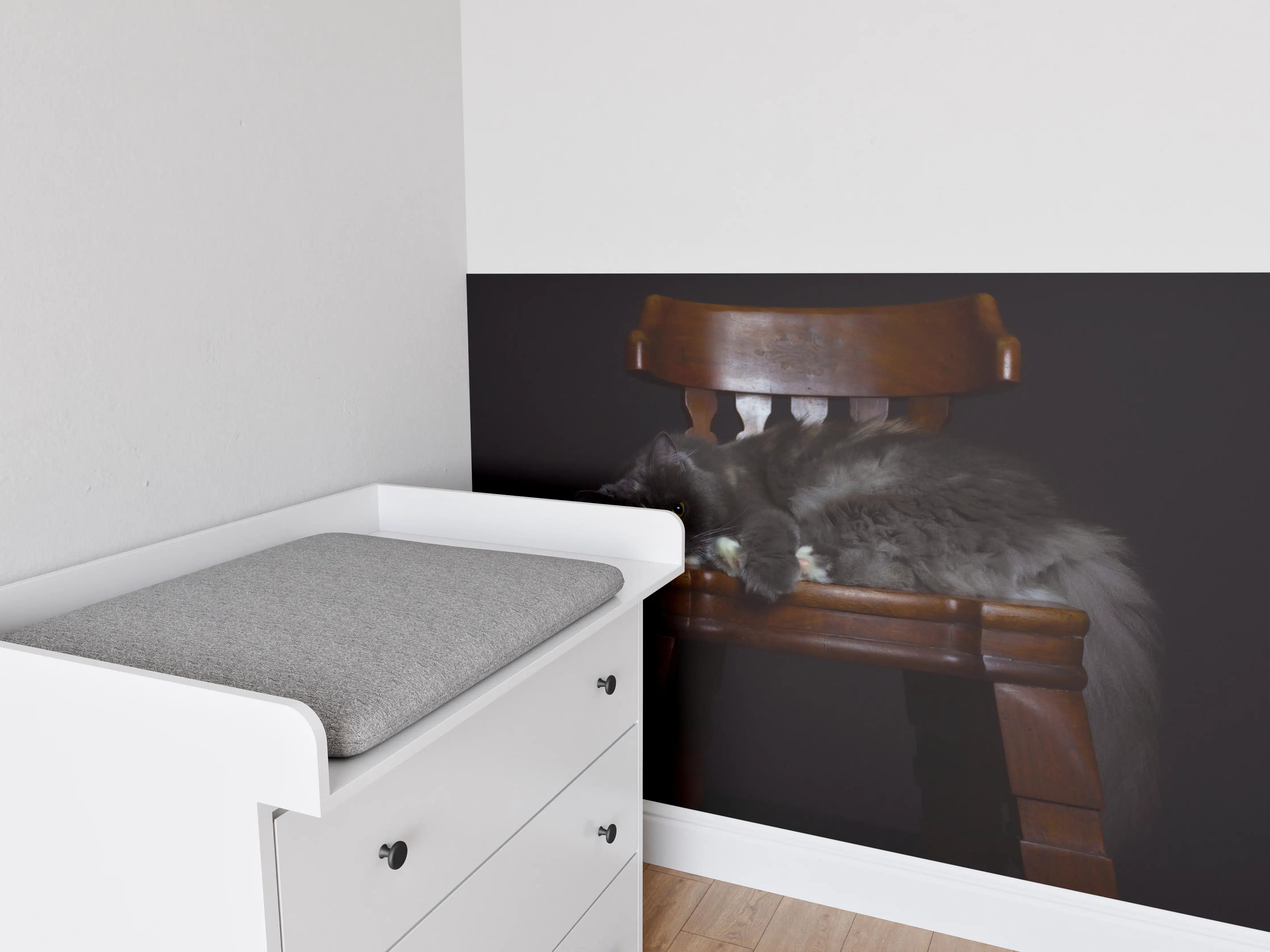 Babyzimmer Wandgestaltung - Britisch Langhaarkatze auf Holzstuhl