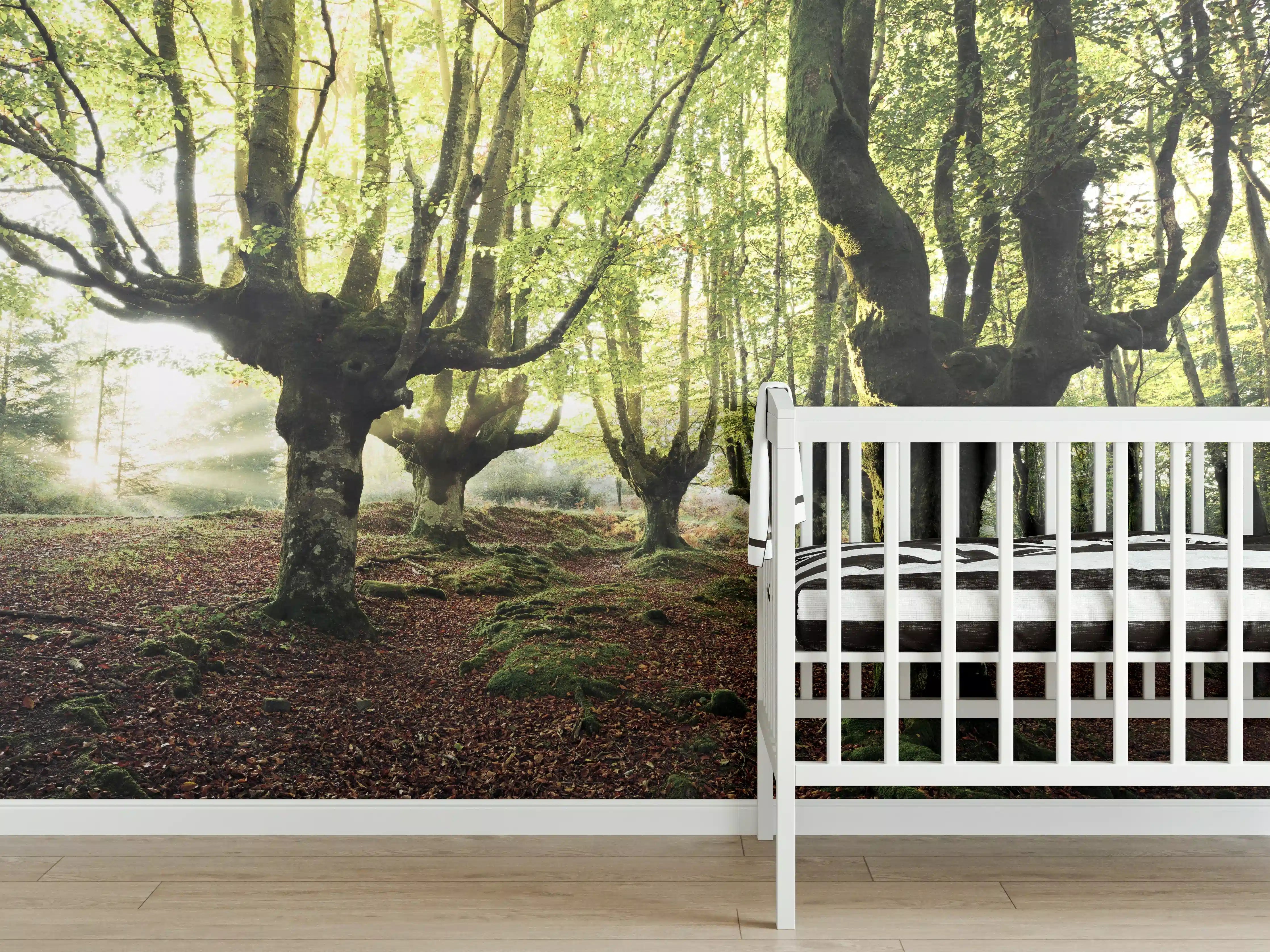 Babyzimmer Wandgestaltung - Buchenwald in Spanien