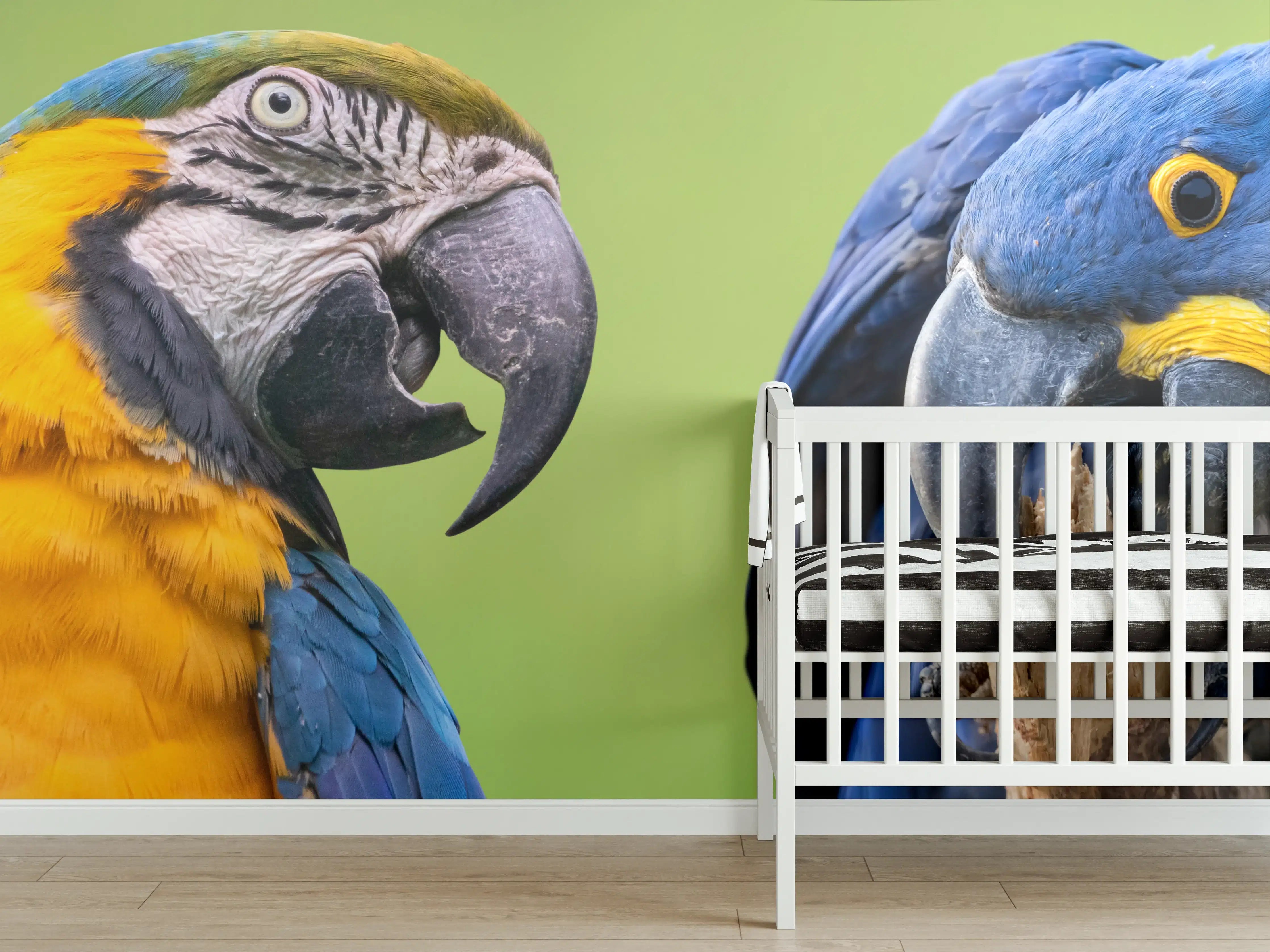 Babyzimmer Wandgestaltung - Bunte Gruppe von Aras
