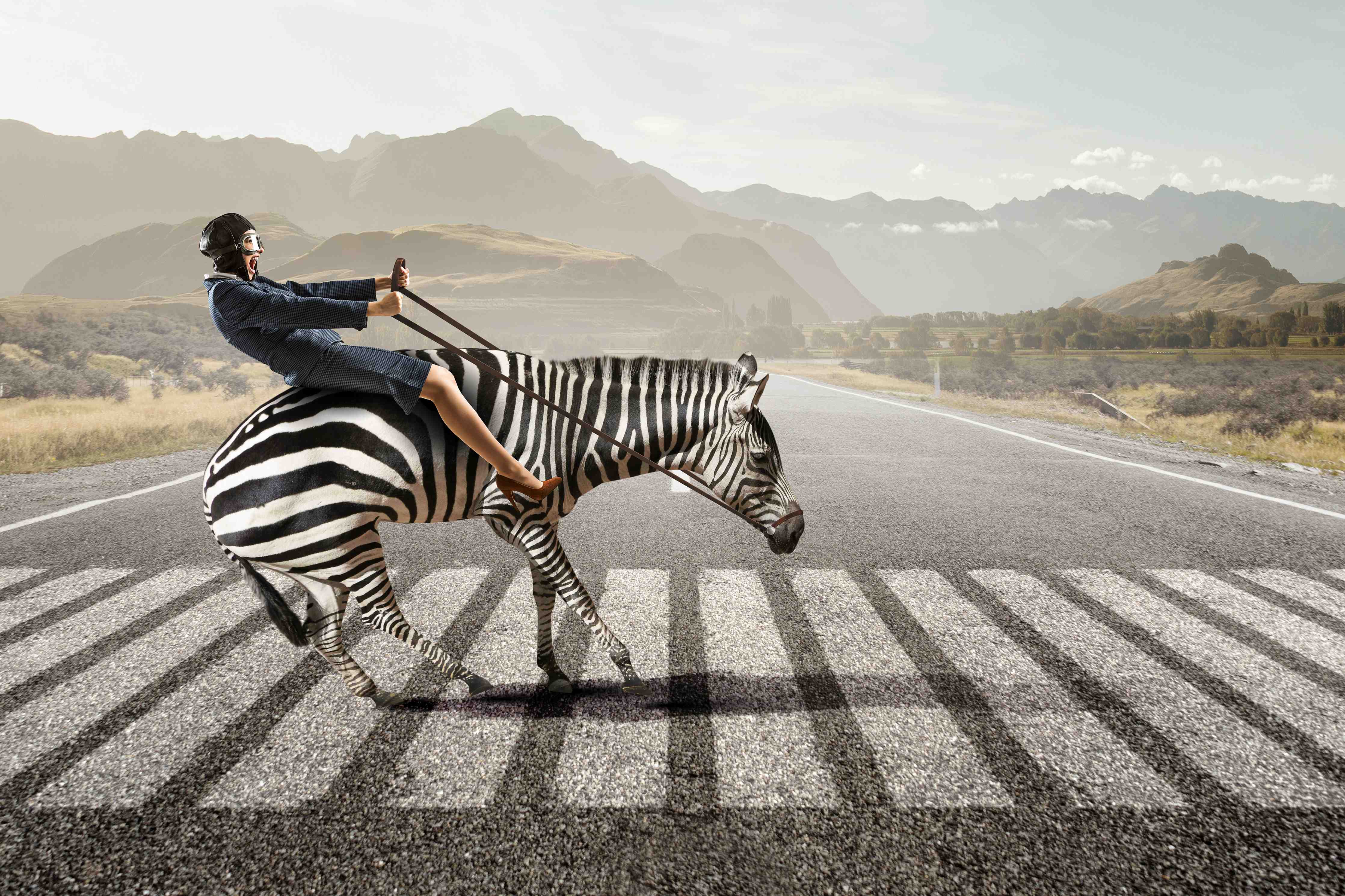 Babyzimmer Wandgestaltung-Businesswoman auf Zebra