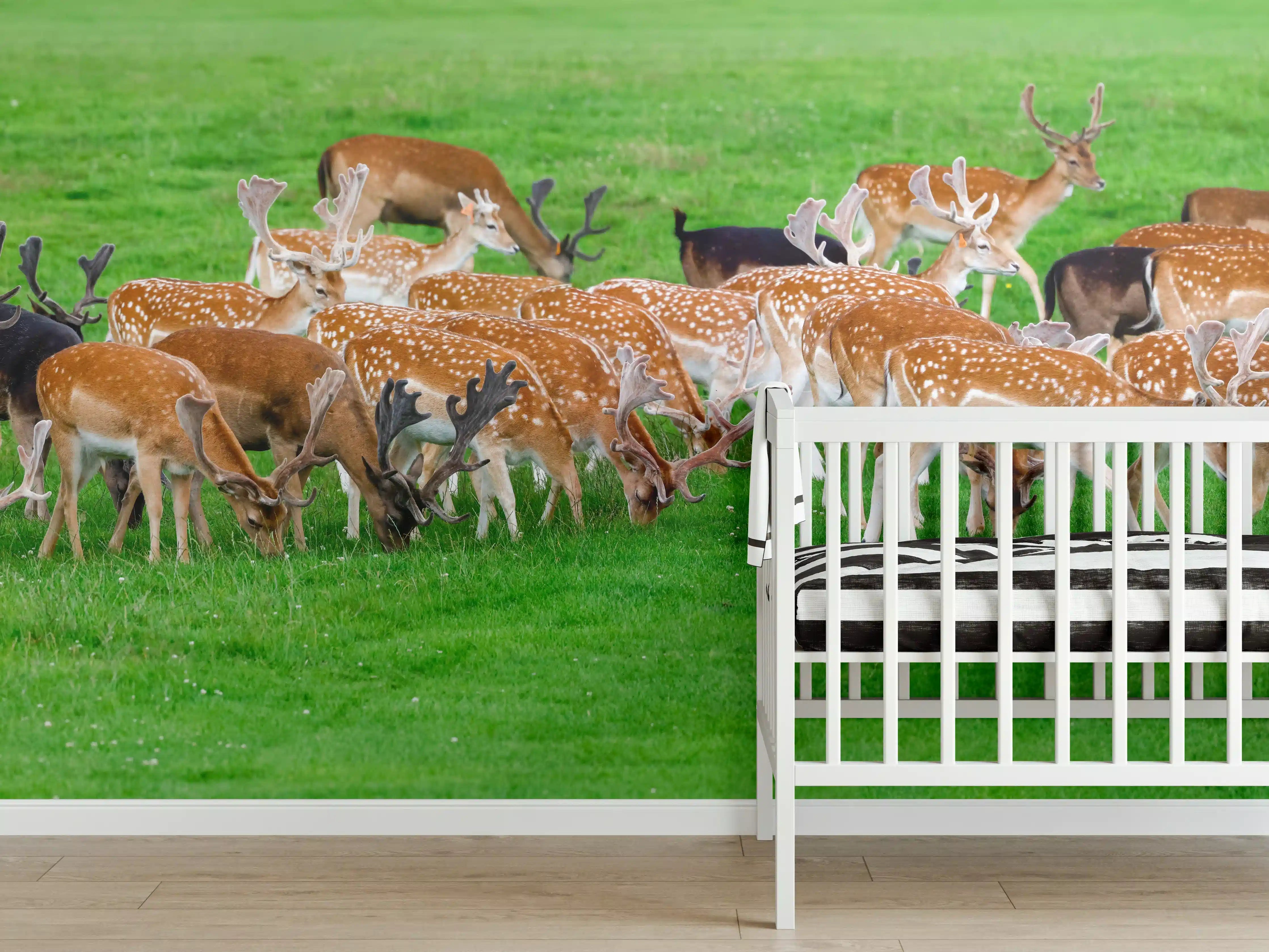 Babyzimmer Wandgestaltung - Damwild-Herde auf grüner Wiese