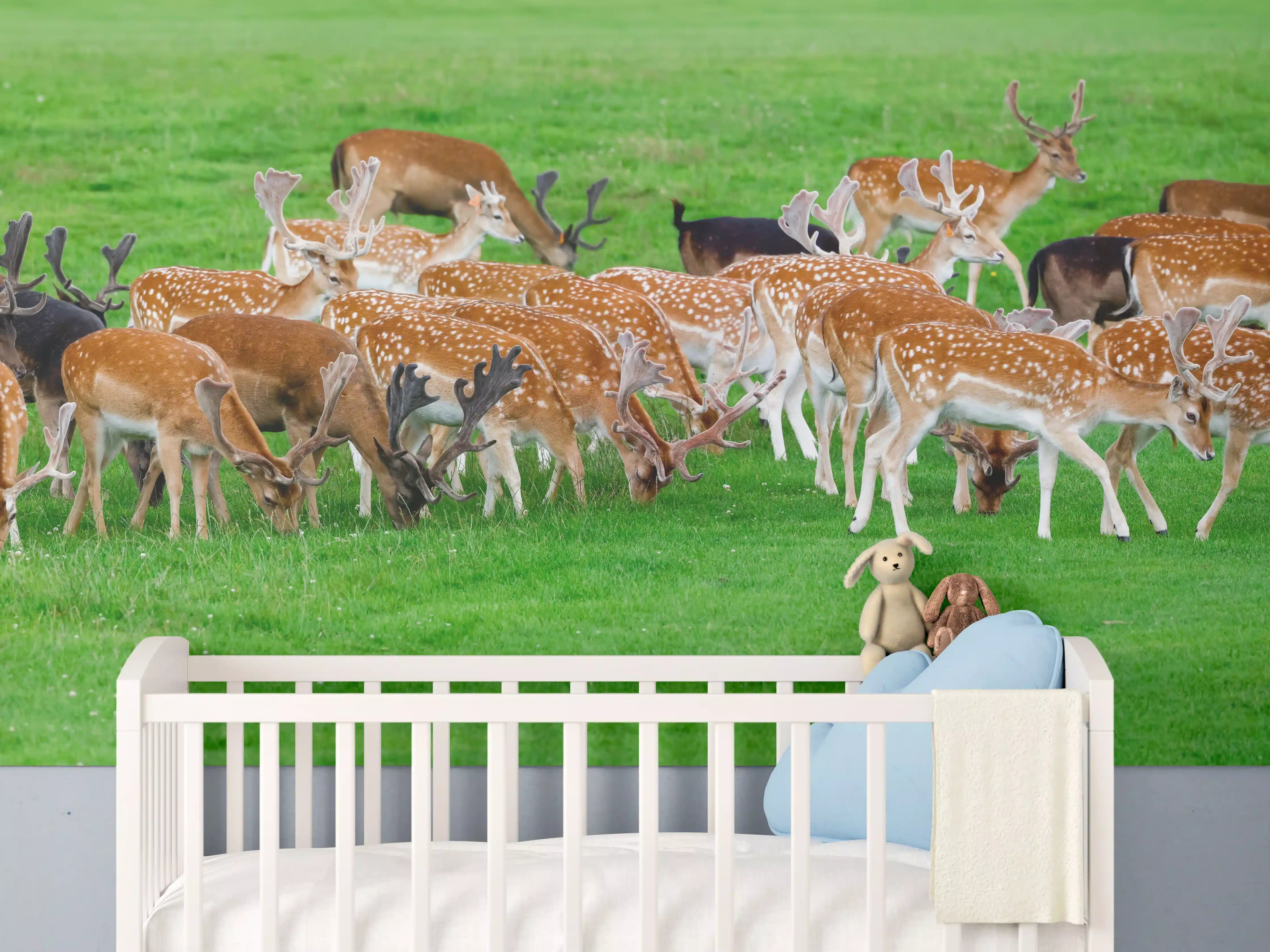 Babyzimmer Wandgestaltung - Damwild-Herde auf grüner Wiese