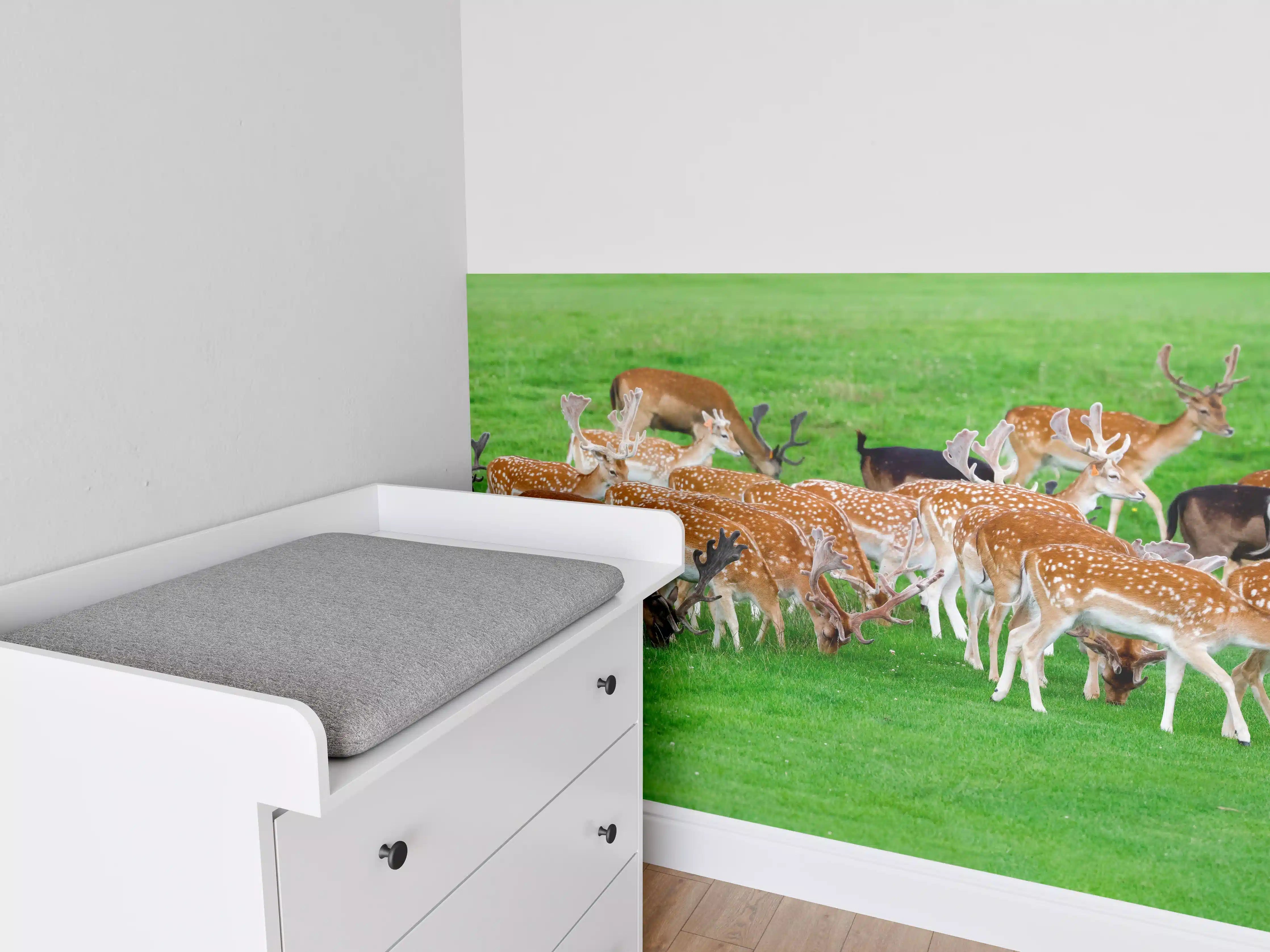 Babyzimmer Wandgestaltung - Damwild-Herde auf grüner Wiese