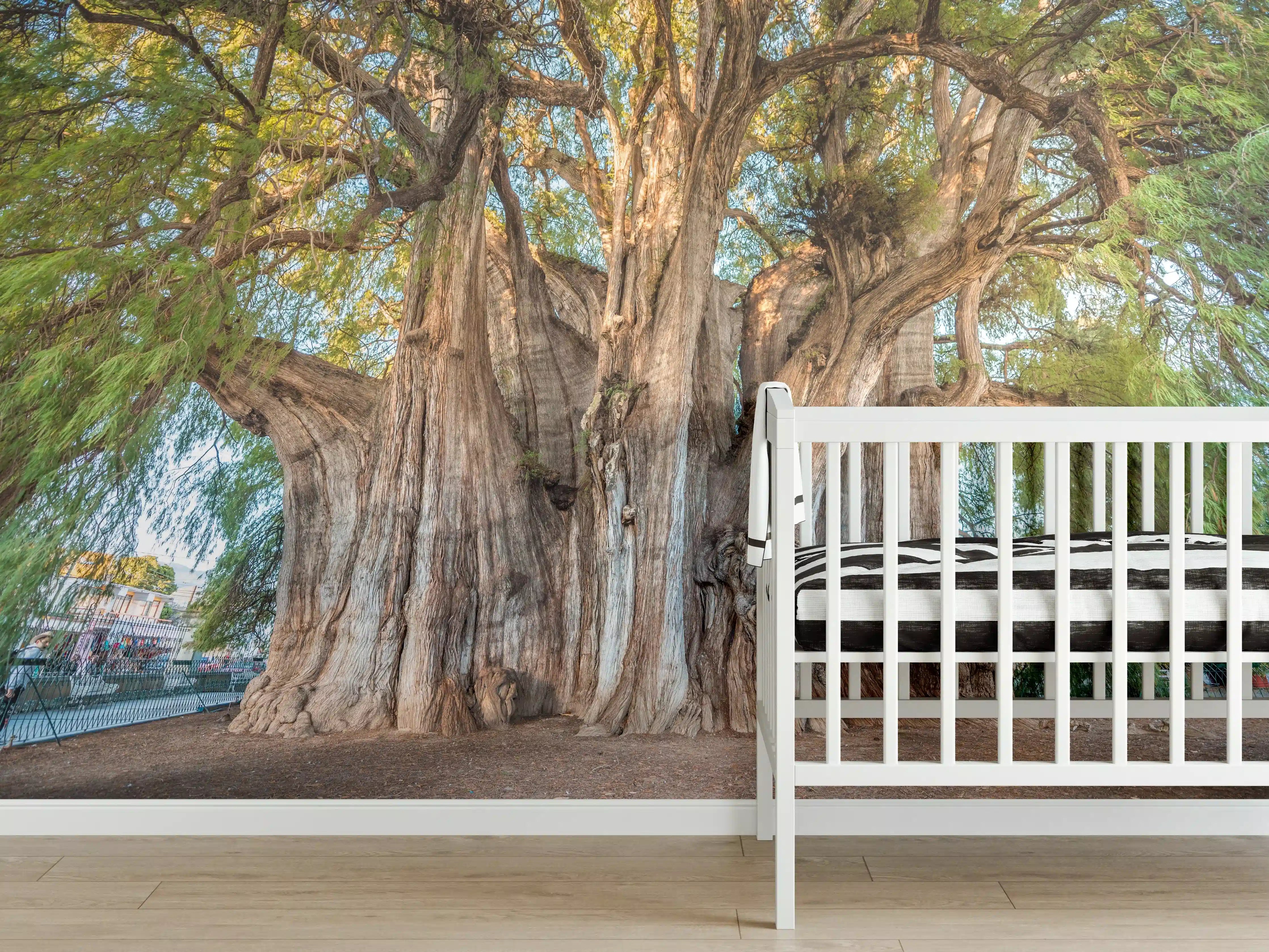 Babyzimmer Wandgestaltung - Der größte Baum der Welt - Mexico
