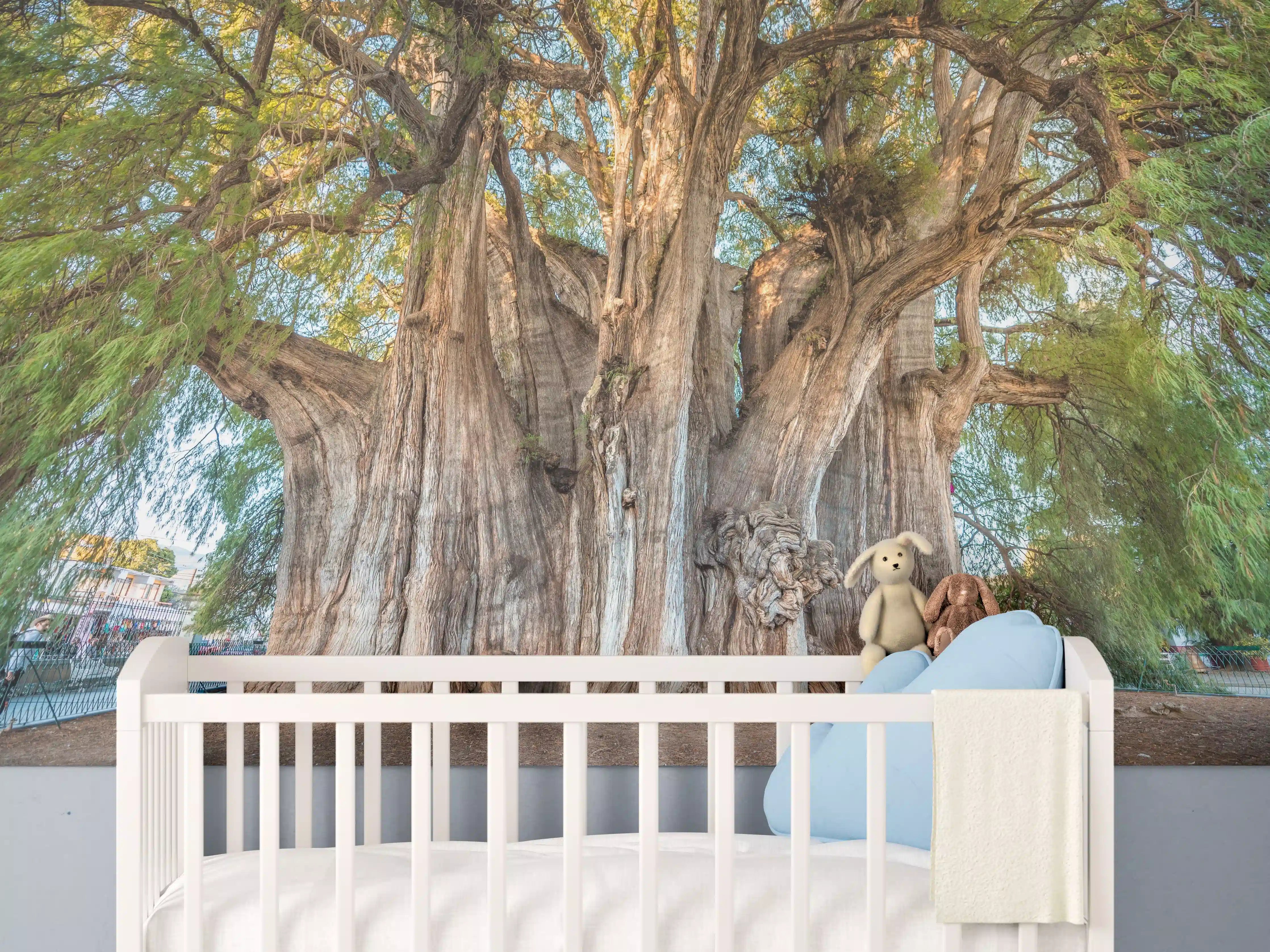 Babyzimmer Wandgestaltung - Der größte Baum der Welt - Mexico