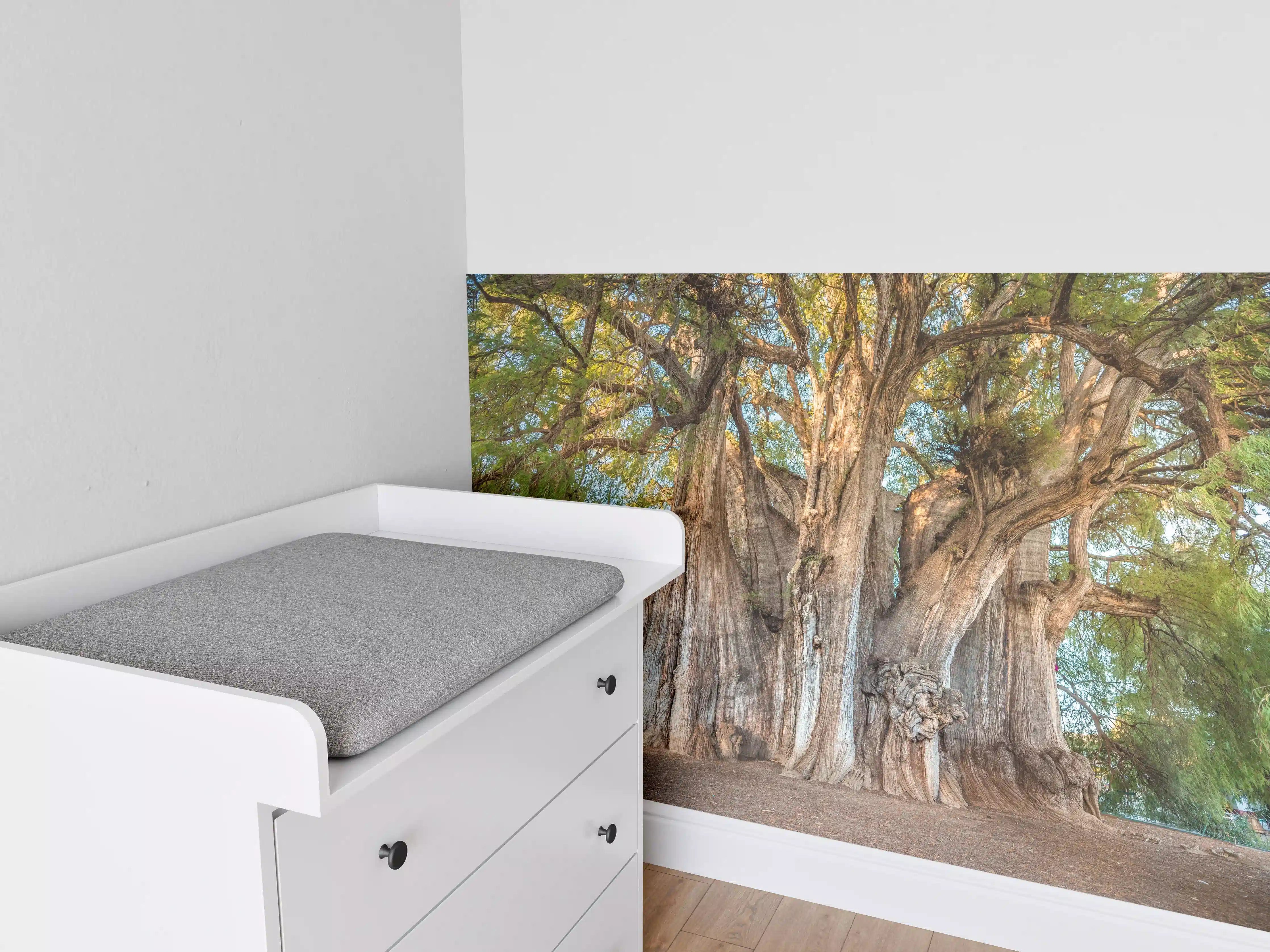 Babyzimmer Wandgestaltung - Der größte Baum der Welt - Mexico