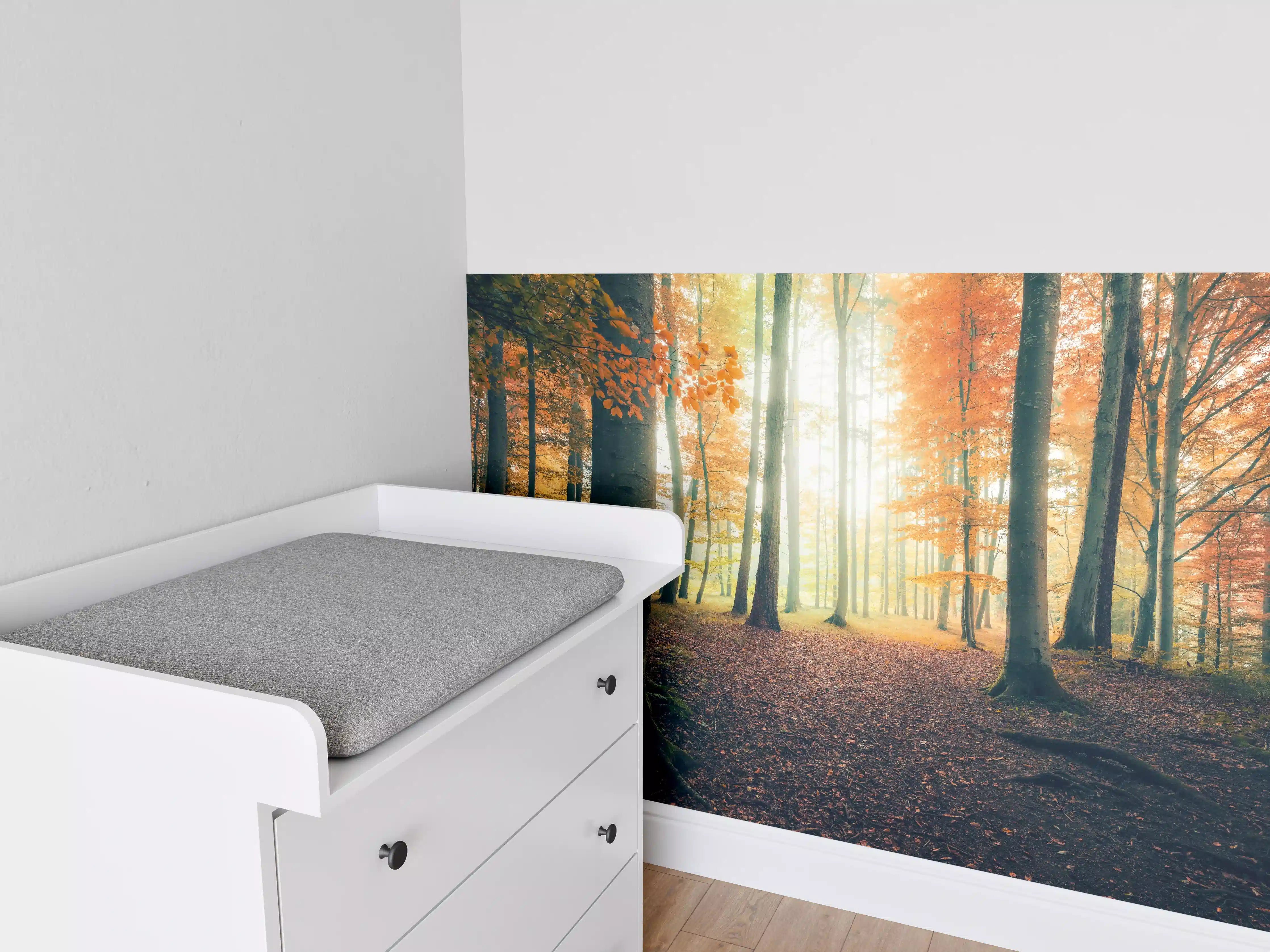 Babyzimmer Wandgestaltung - Dunkler Wald im Herbst
