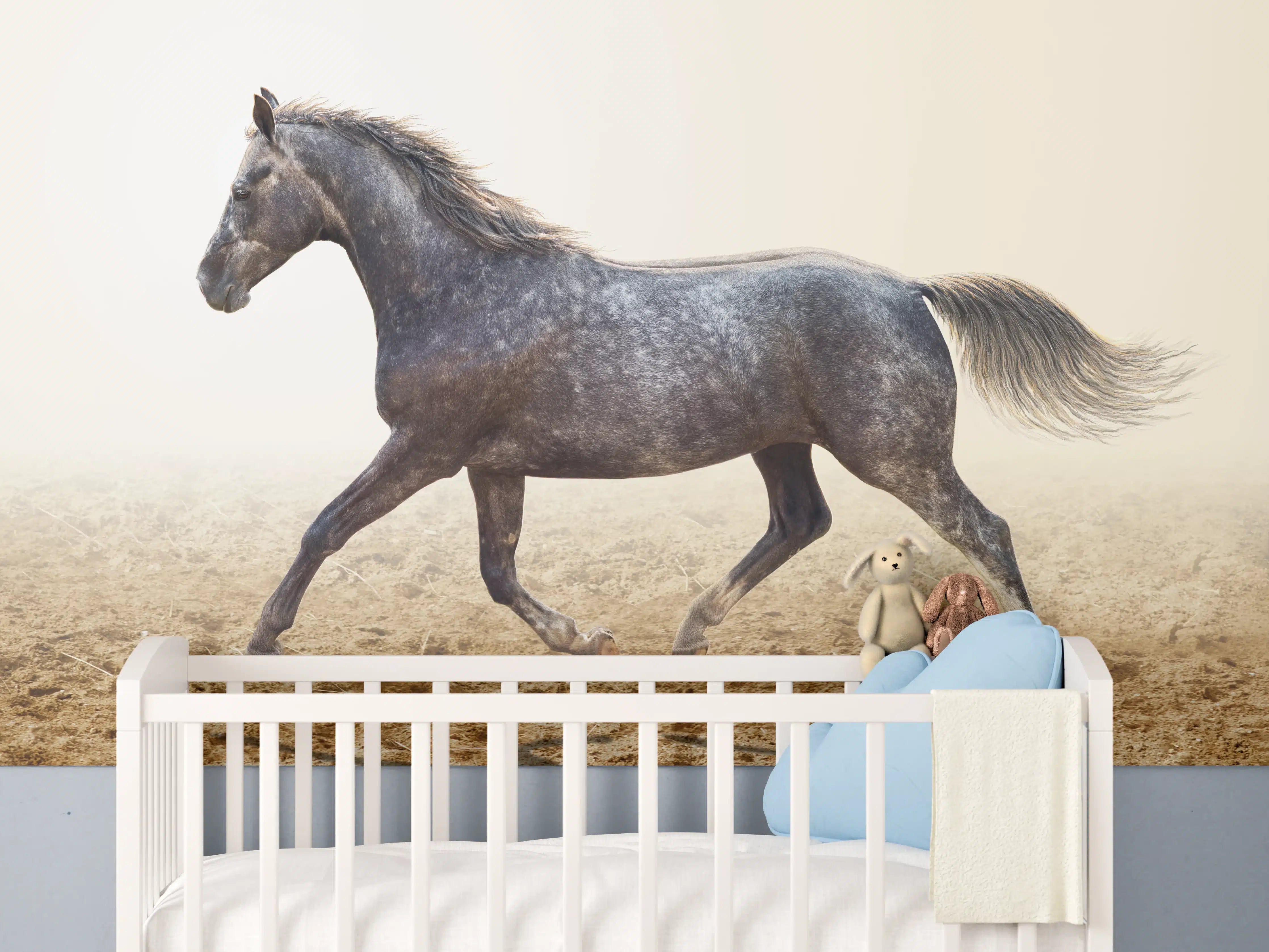 Babyzimmer Wandgestaltung - Ein graues Pferd reitend auf einem Feld