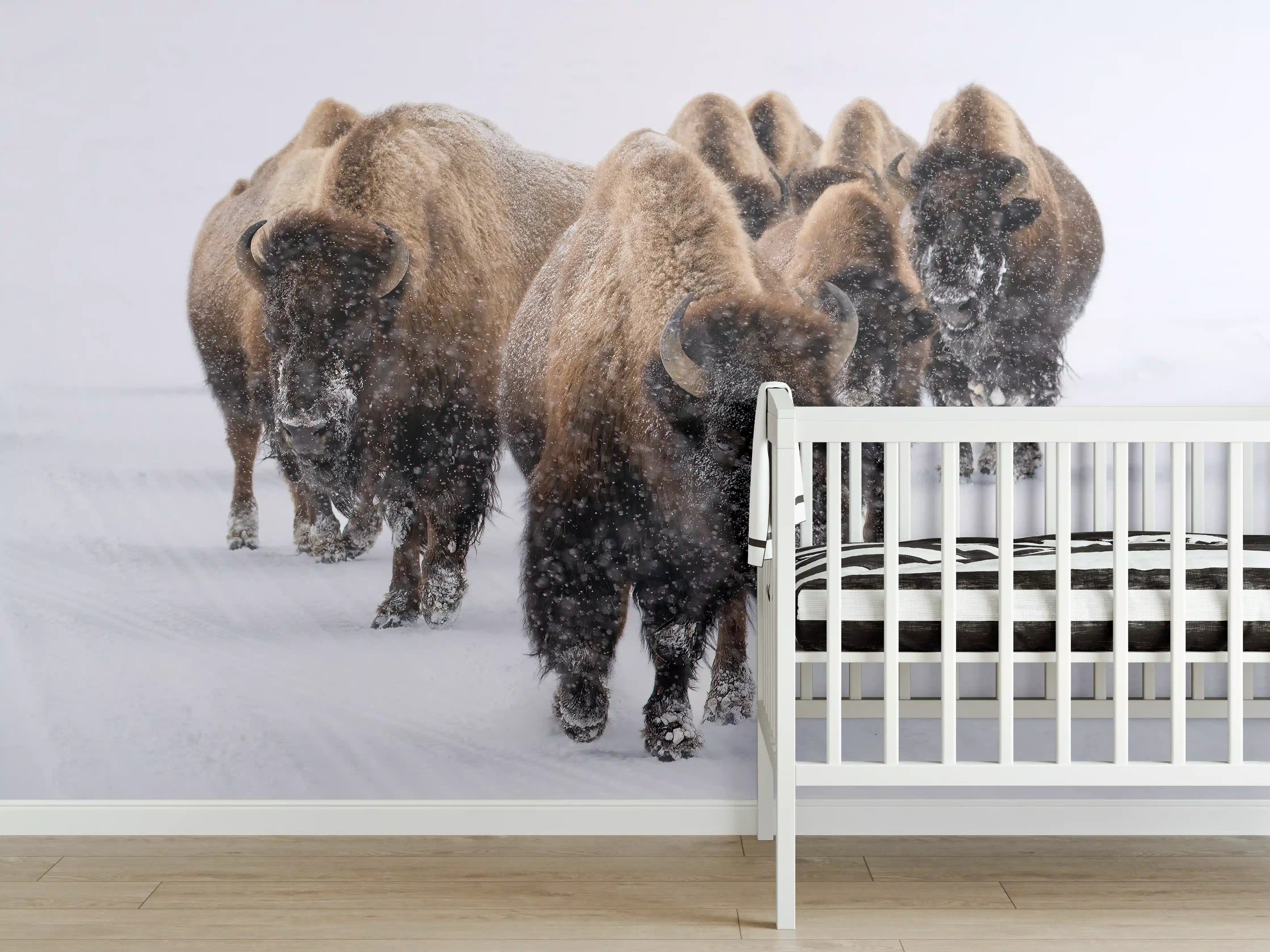 Babyzimmer Wandgestaltung - Eine Bison Herde