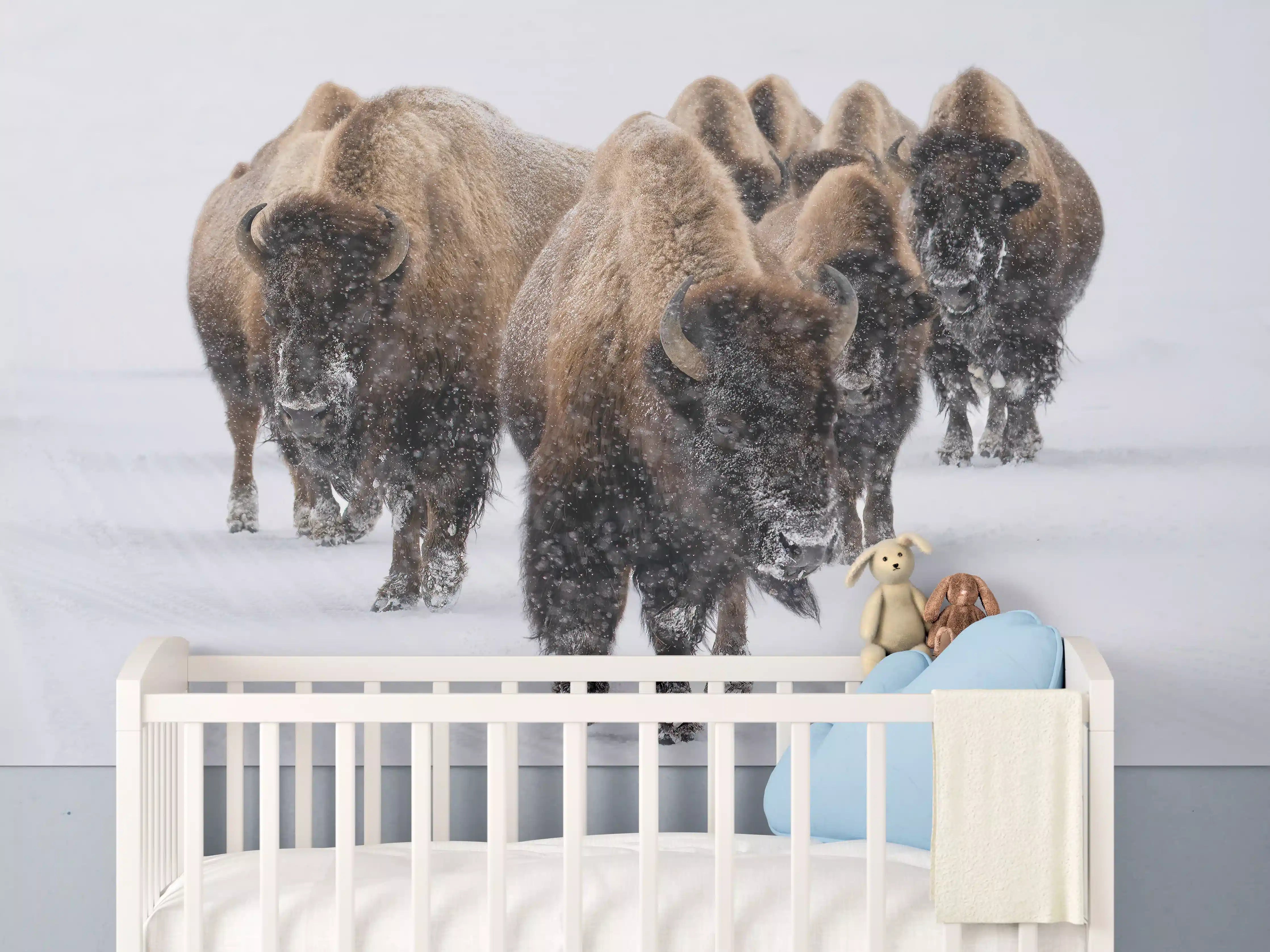 Babyzimmer Wandgestaltung - Eine Bison Herde