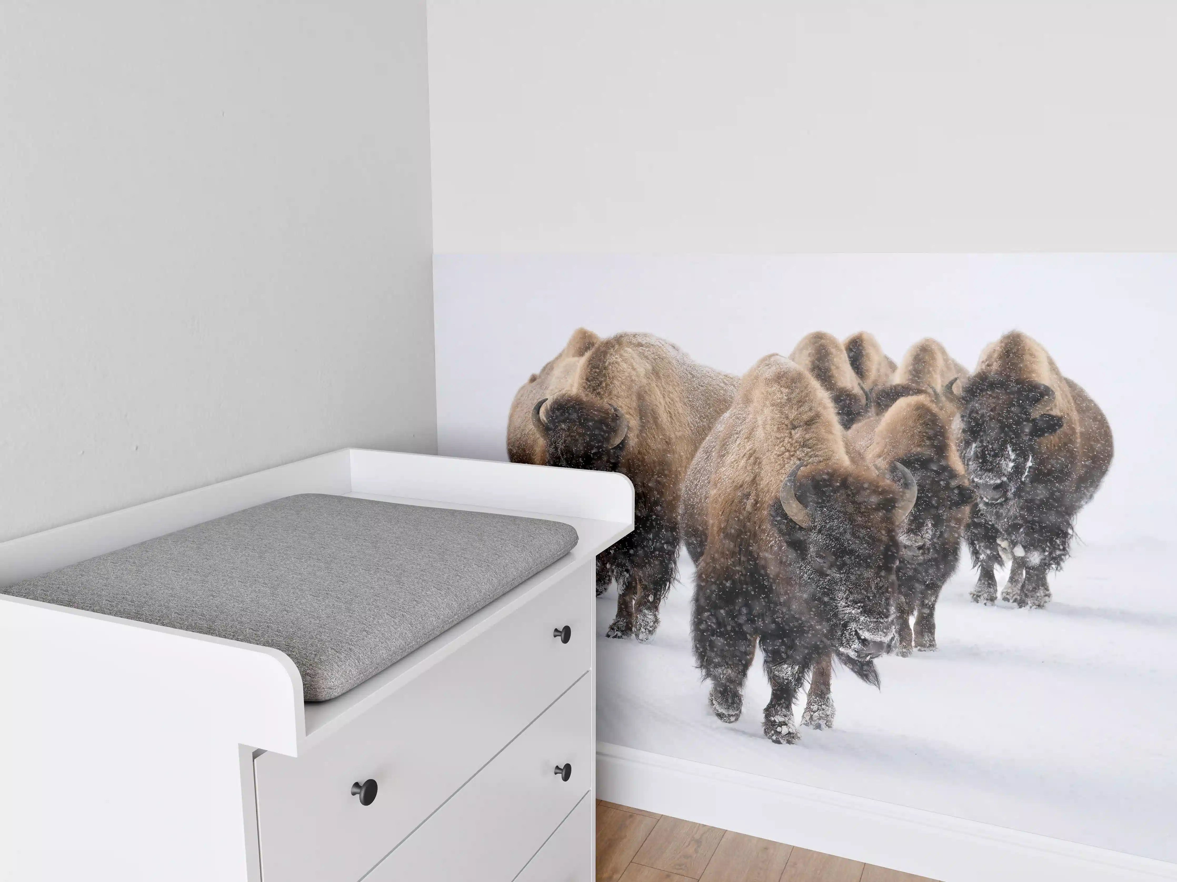 Babyzimmer Wandgestaltung - Eine Bison Herde