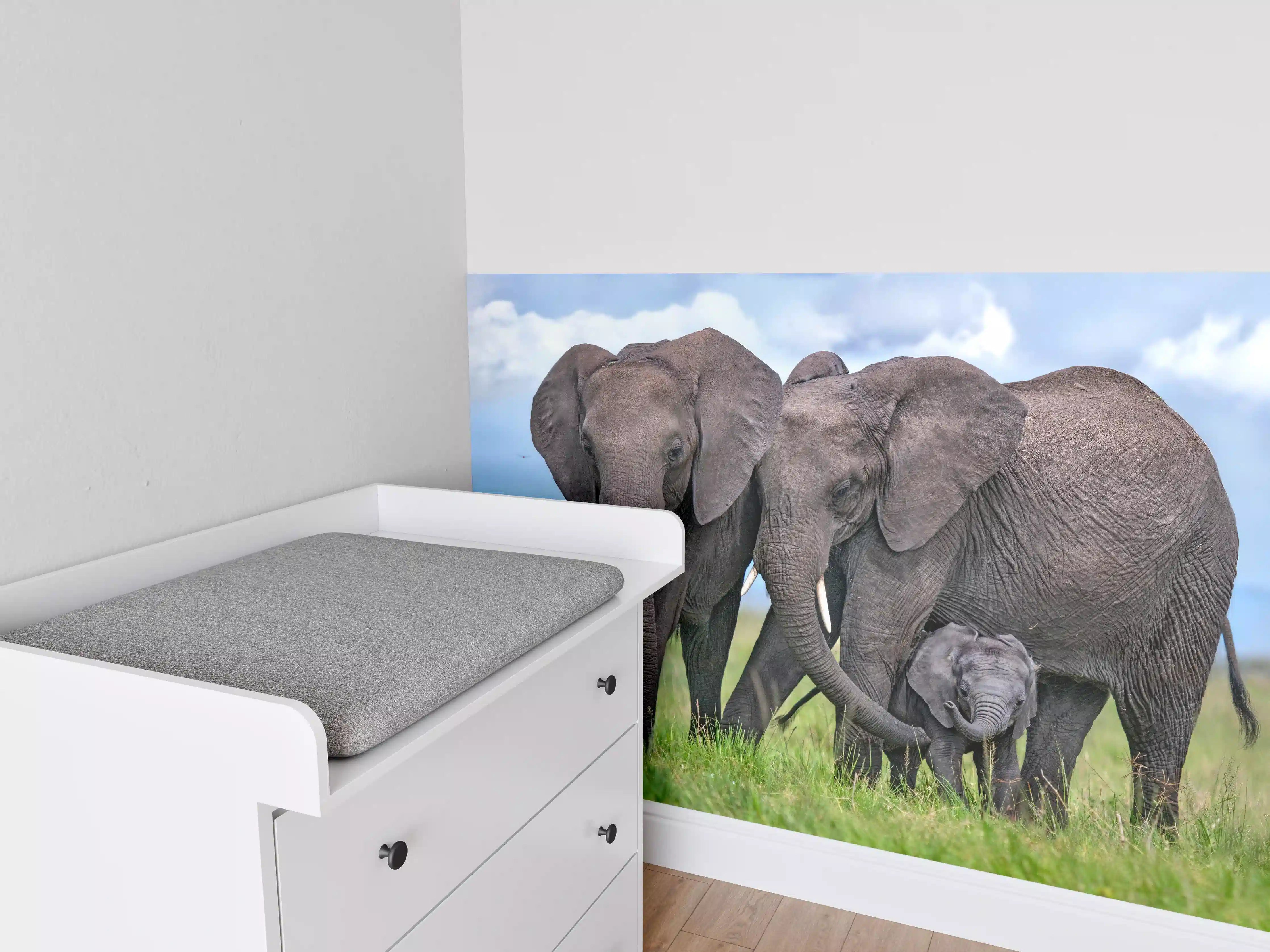 Babyzimmer Wandgestaltung - Elefanten Familie - Afrika